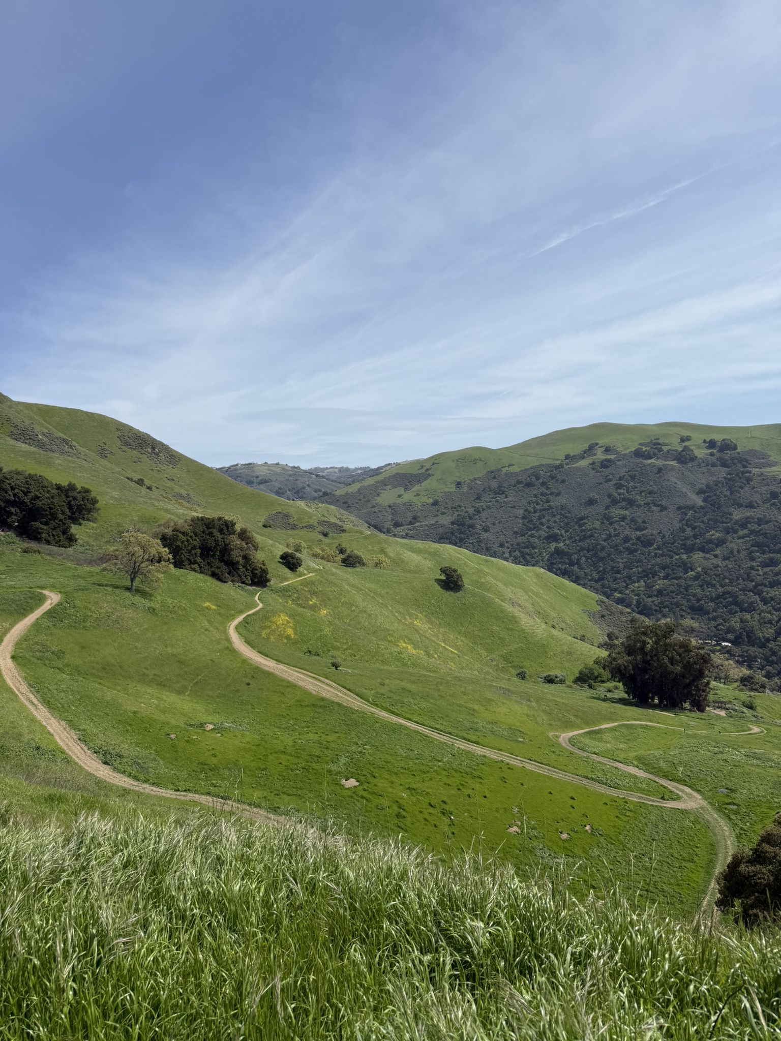Winding dirt trails on lush green hills under a partly cloudy sky. - Upper Penitencia Creek – Penitencia (Gross) Ponds loop from Penitencia Creek
