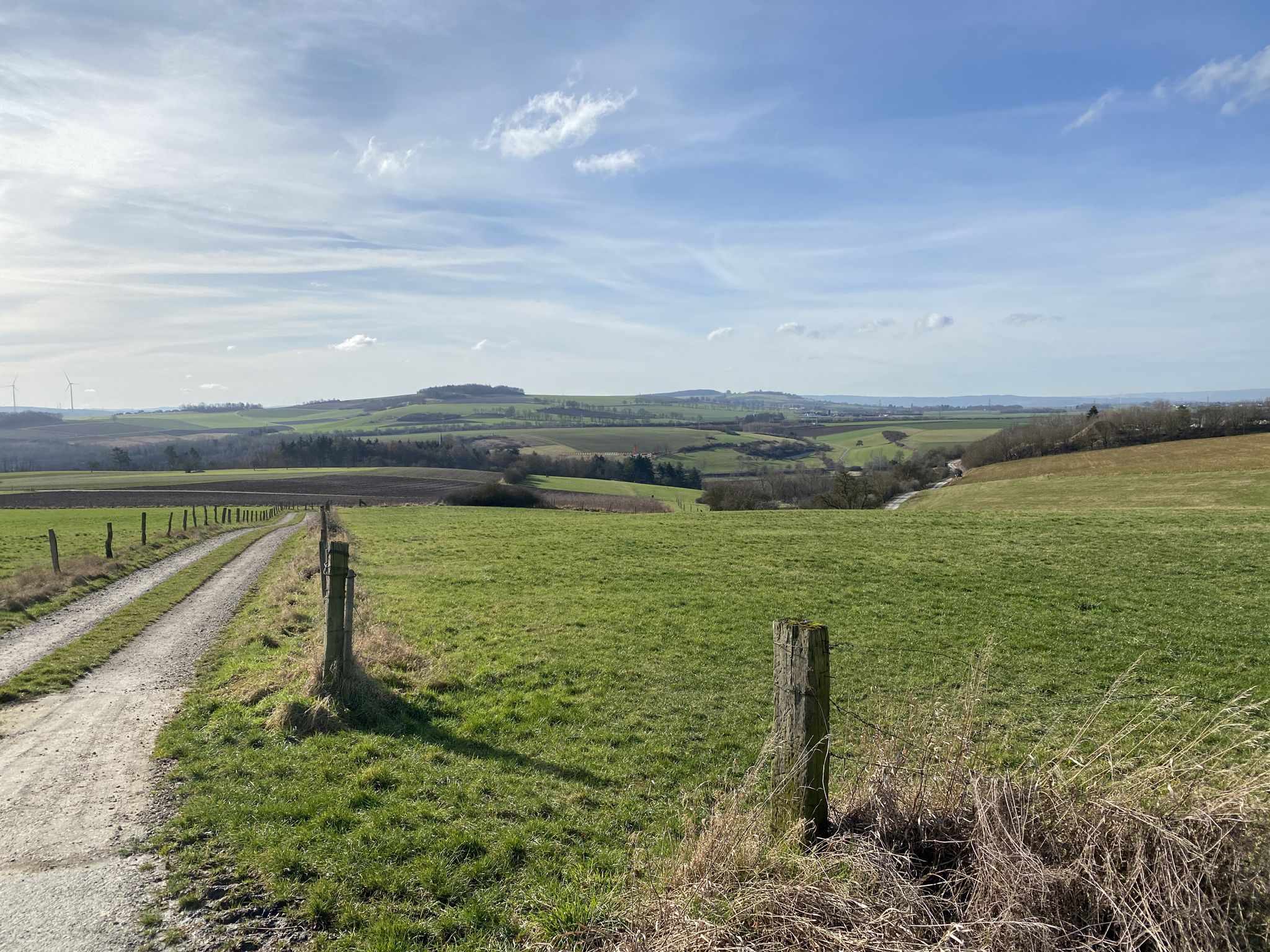 Blick von Niederbrechen zum Mensfelder Kopf