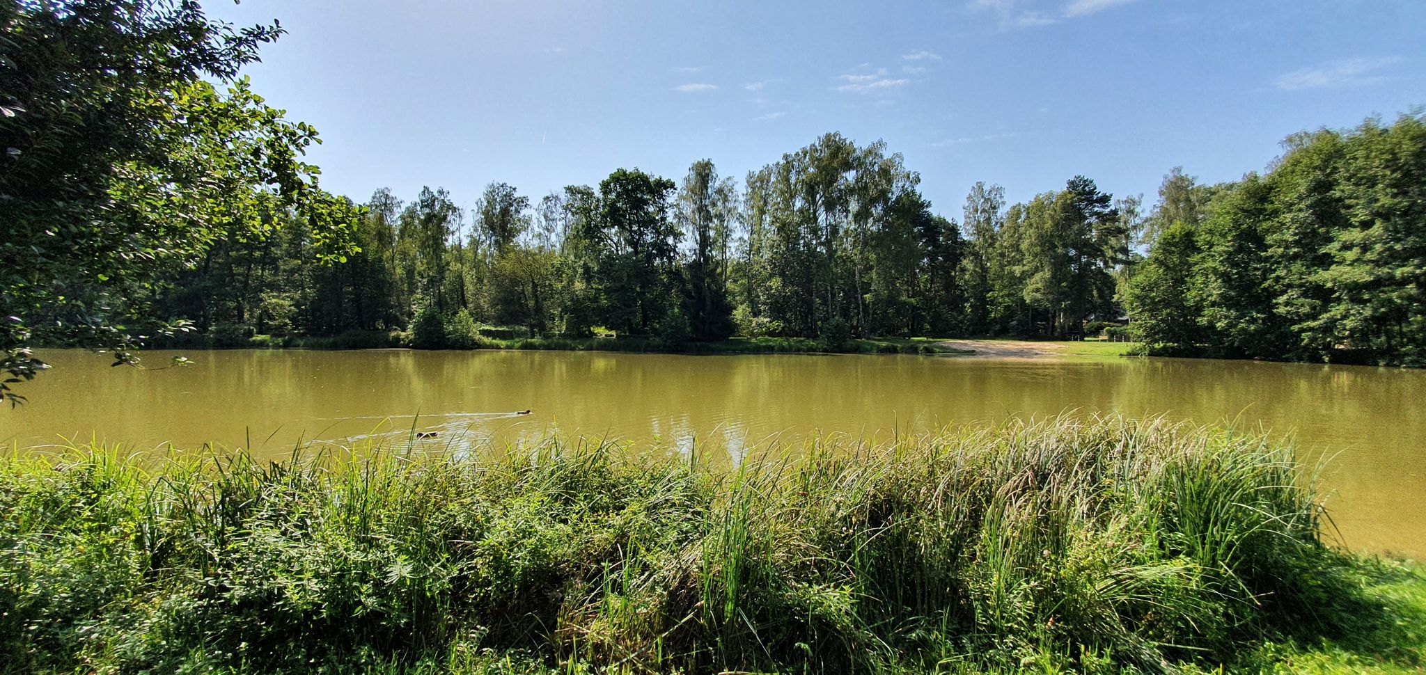 Sokolniki plaża