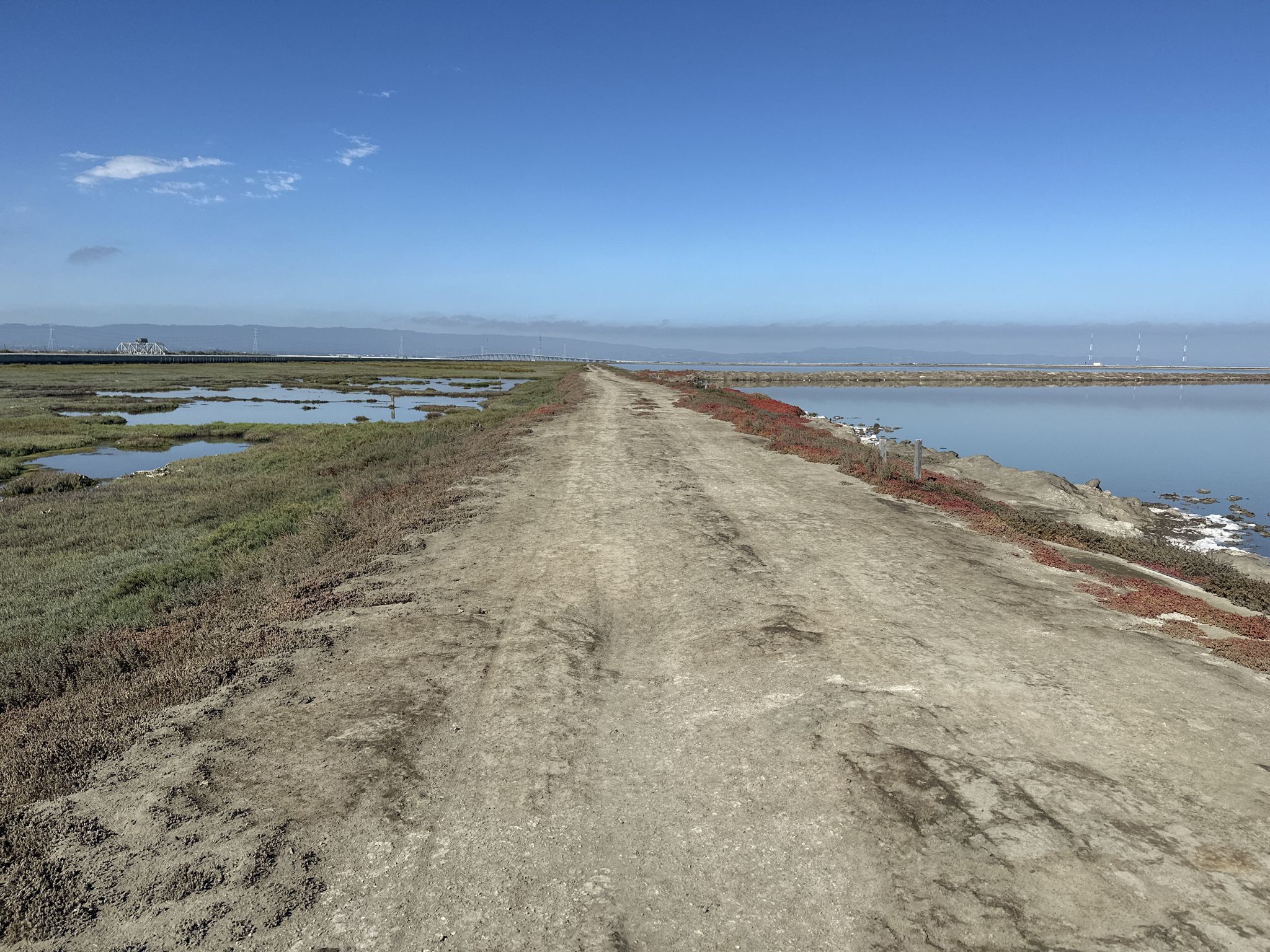 A dirt path separates two calm bodies of water under a clear sky. - Newark Slough Trail