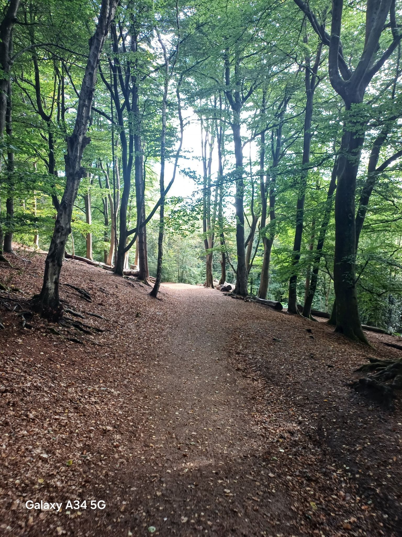 Lickey Hills