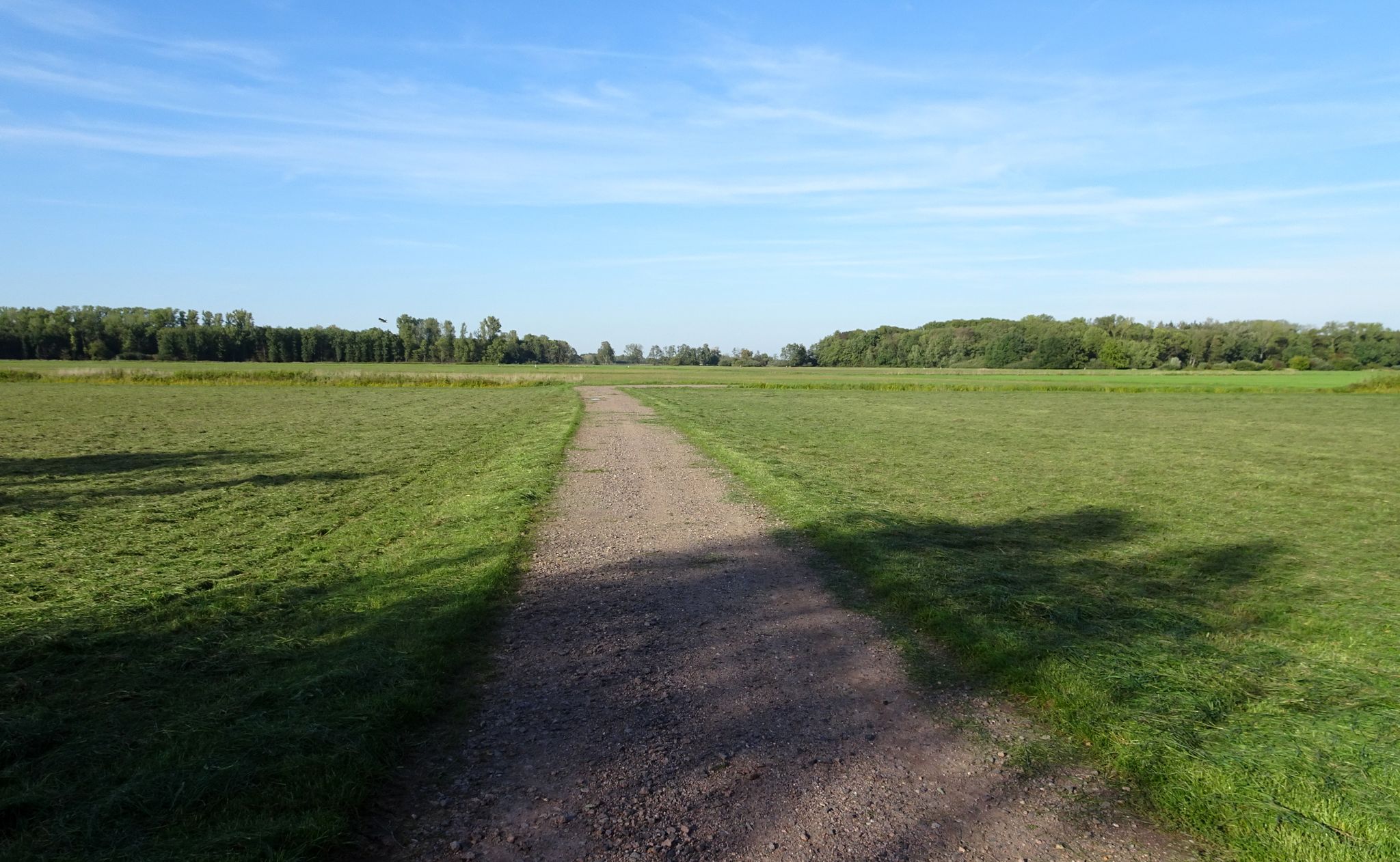 Weg durch die Queich Wiesen