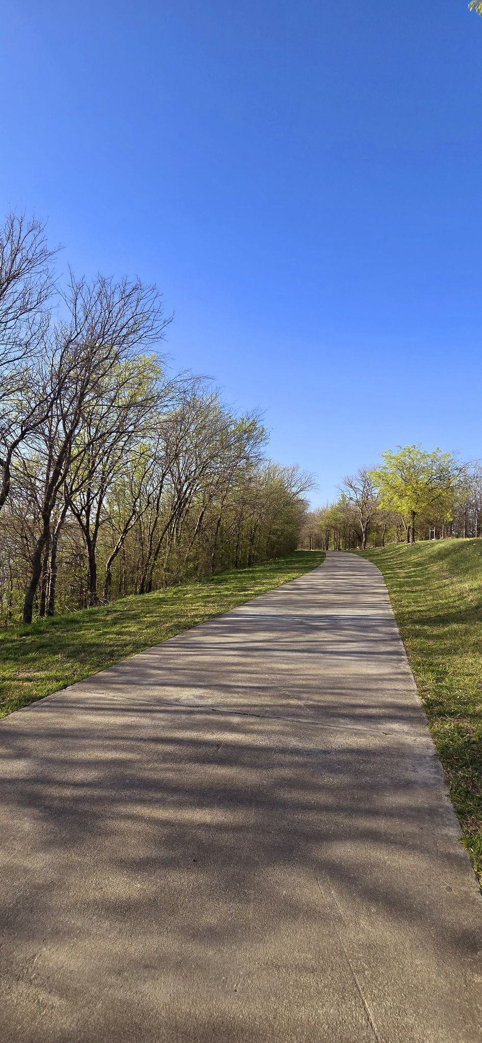 Paved path winding through green grass and trees under a bright blue sky. - Marine Creek Lake Trail