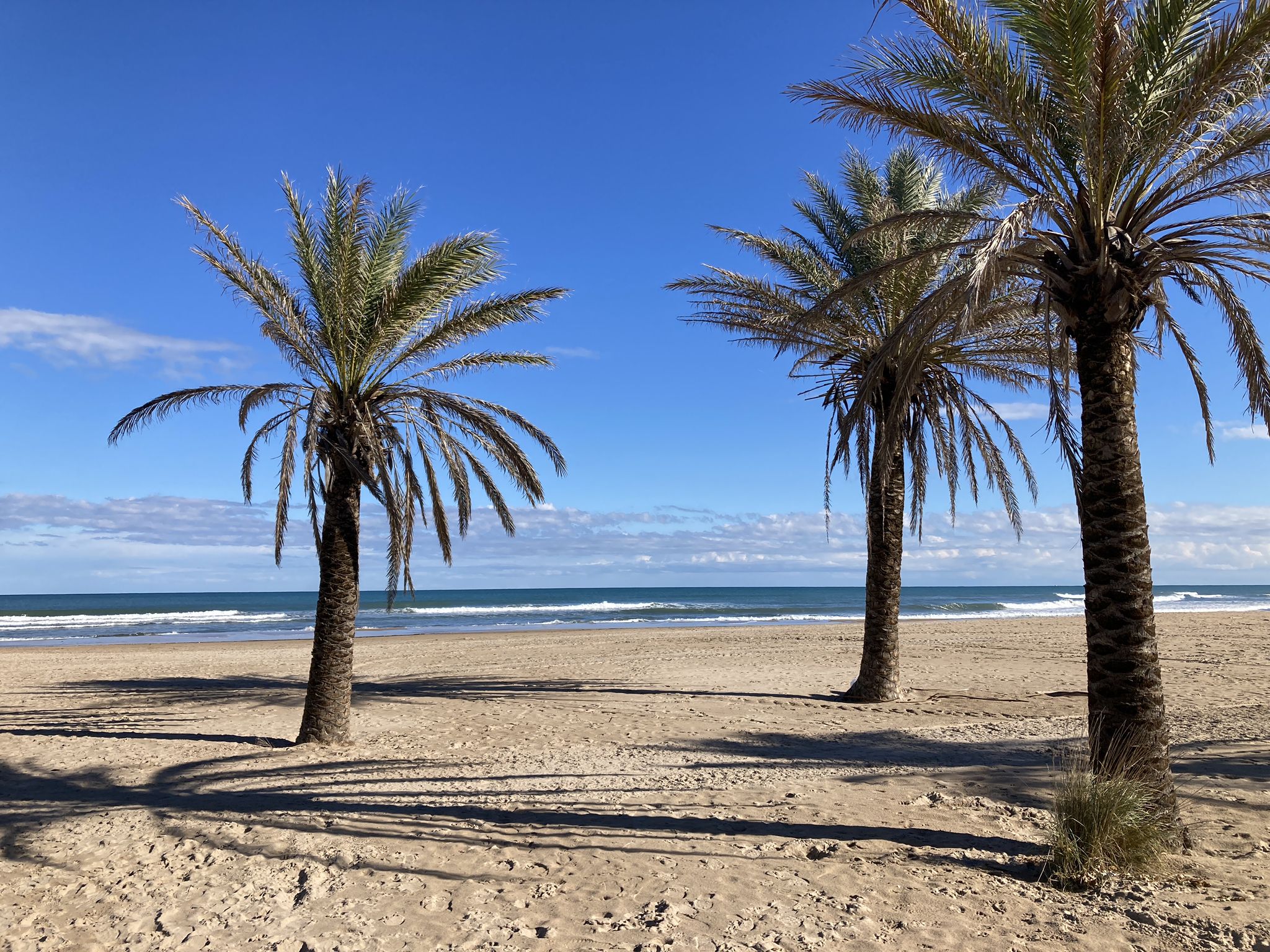 Playa Nord de Gandía