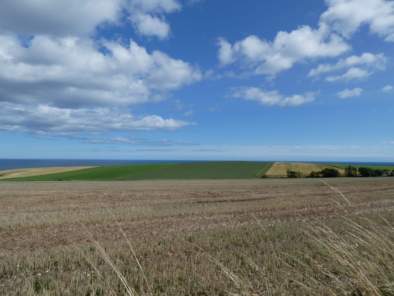 bei Roadside of Kineff