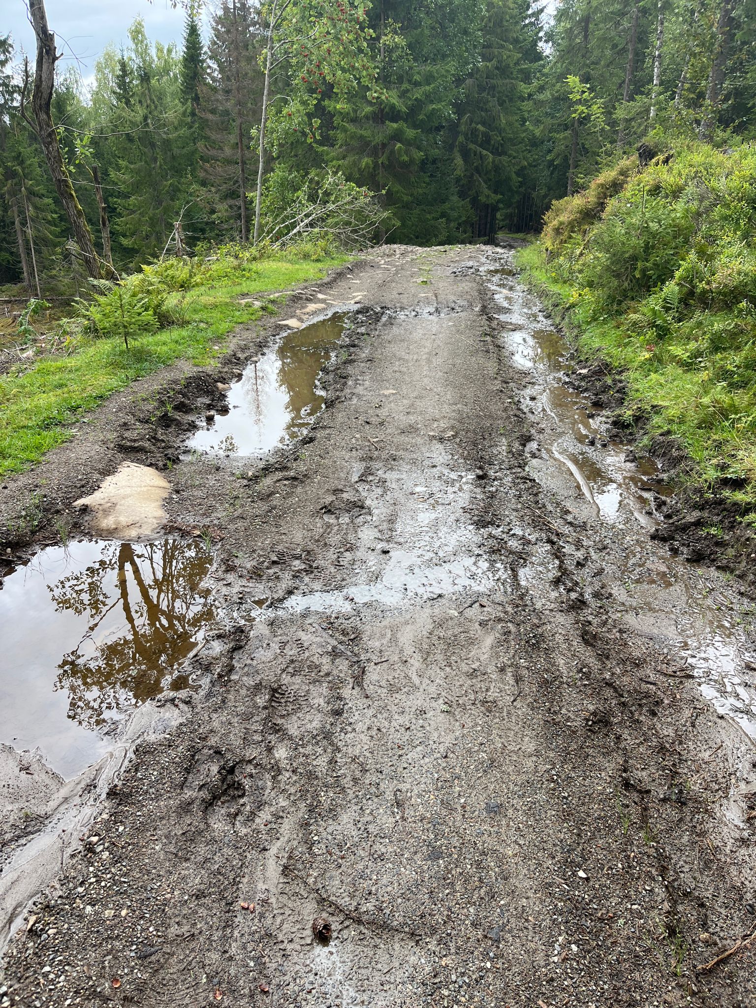 Not so nice road, but it soon gets better.