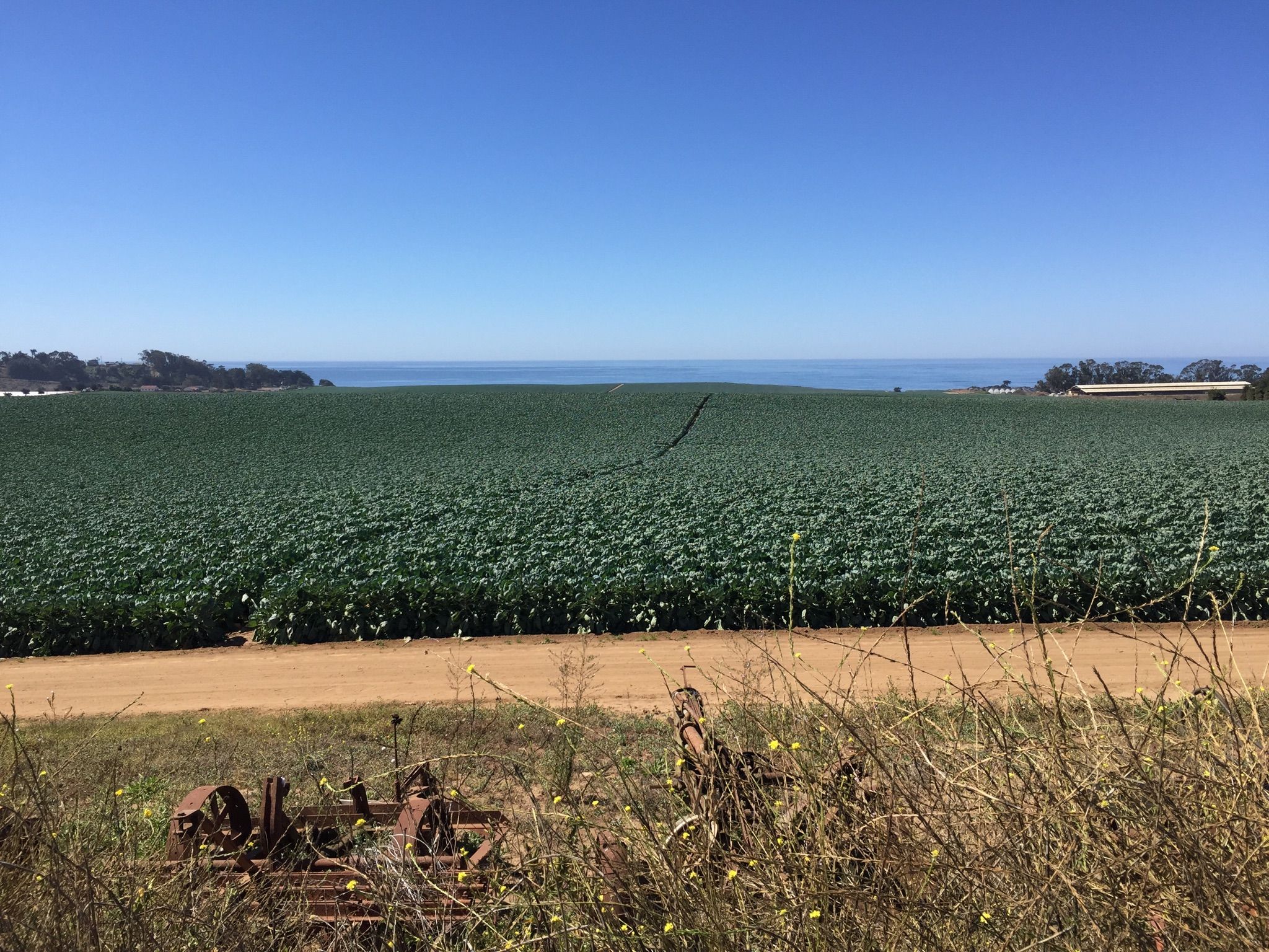 Vast green field meets distant ocean under clear blue sky. - Riverside Road Loop