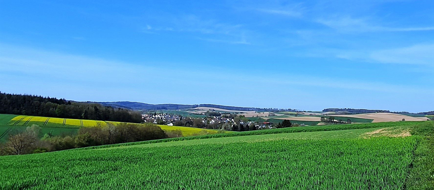 Gondelsheim