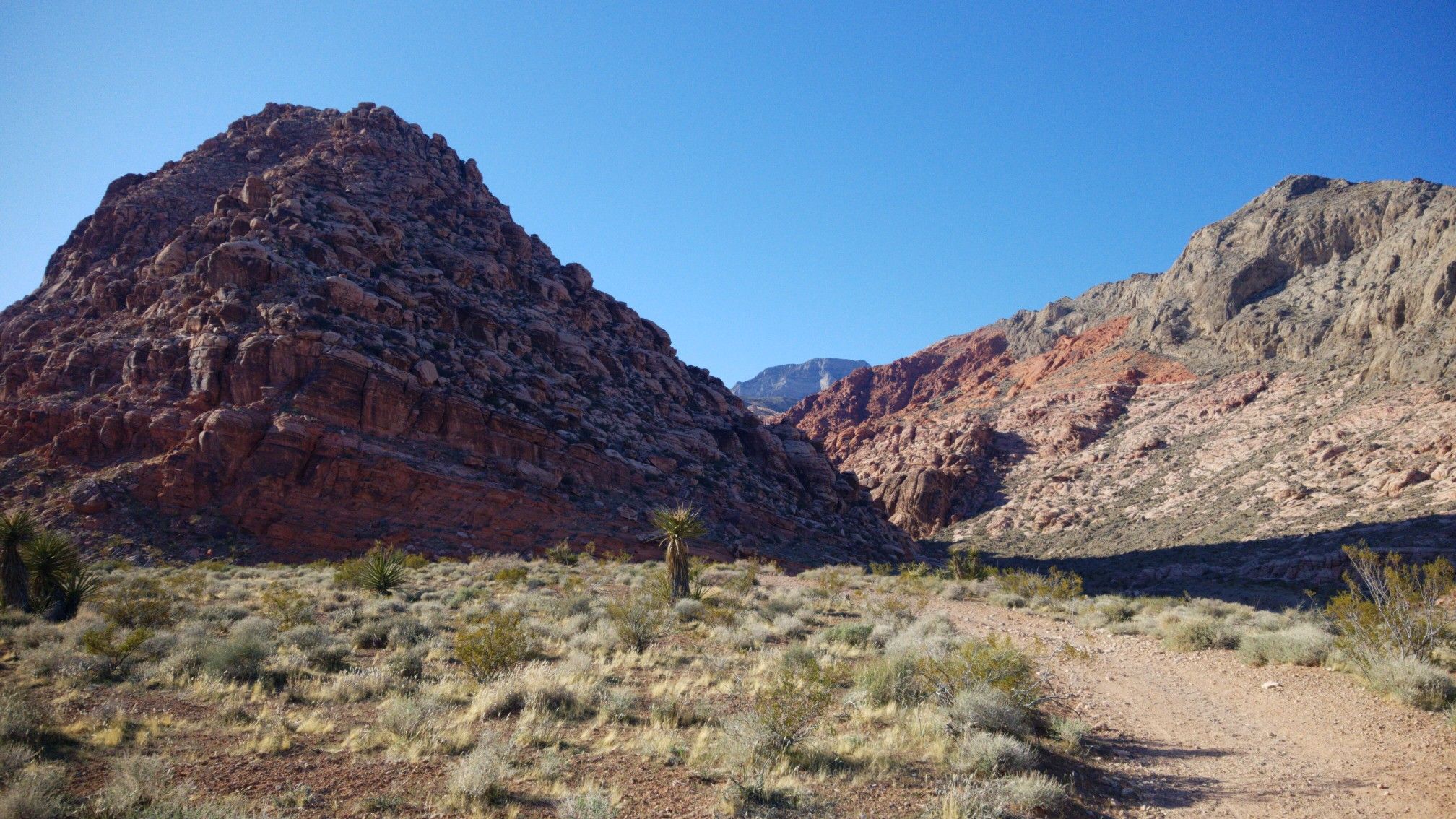 Sunny desert landscape with a dirt path leading between red and tan mountains. - Gene's Trail