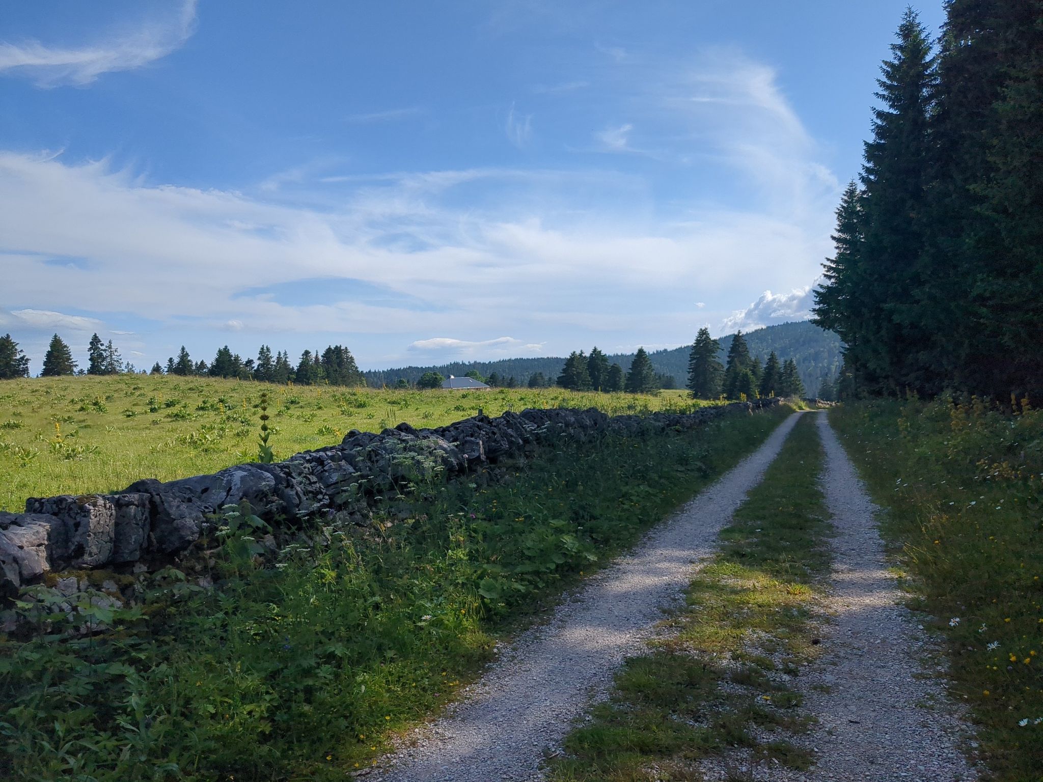 Ambiance et chemin apres foret