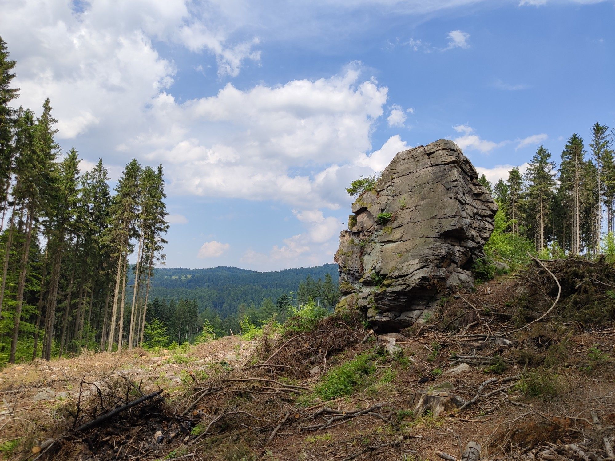 mała skałka 