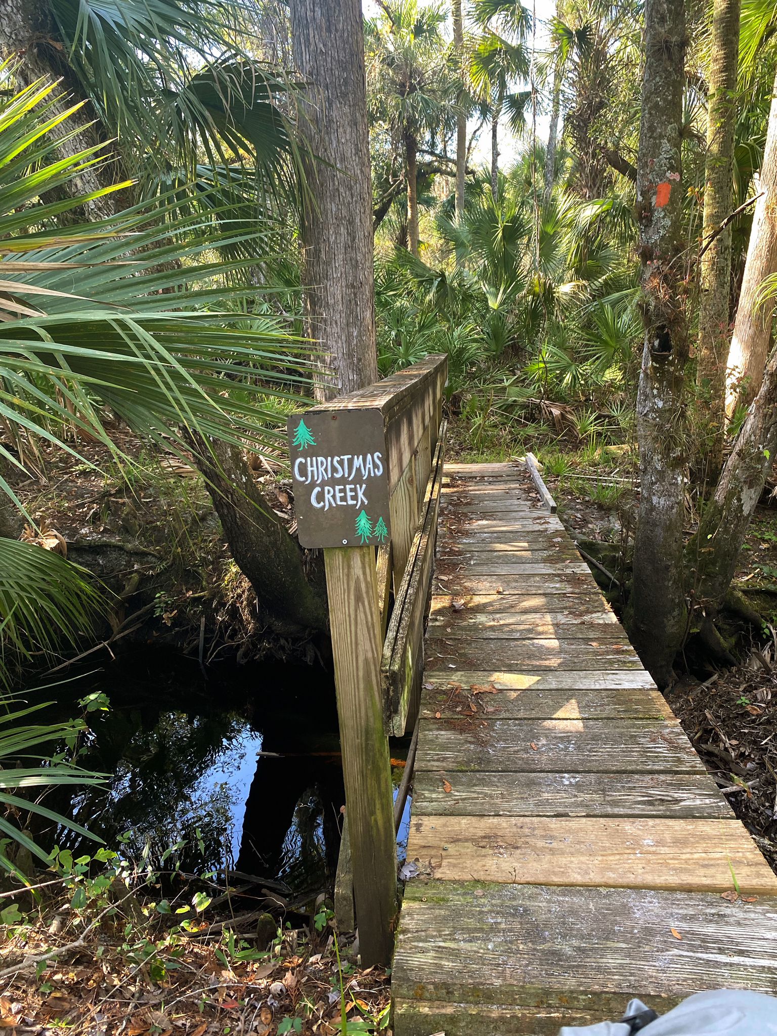Wooden bridge over a dark stream surrounded by dense, sunny tropical foliage. - Bronson River Trail Loop