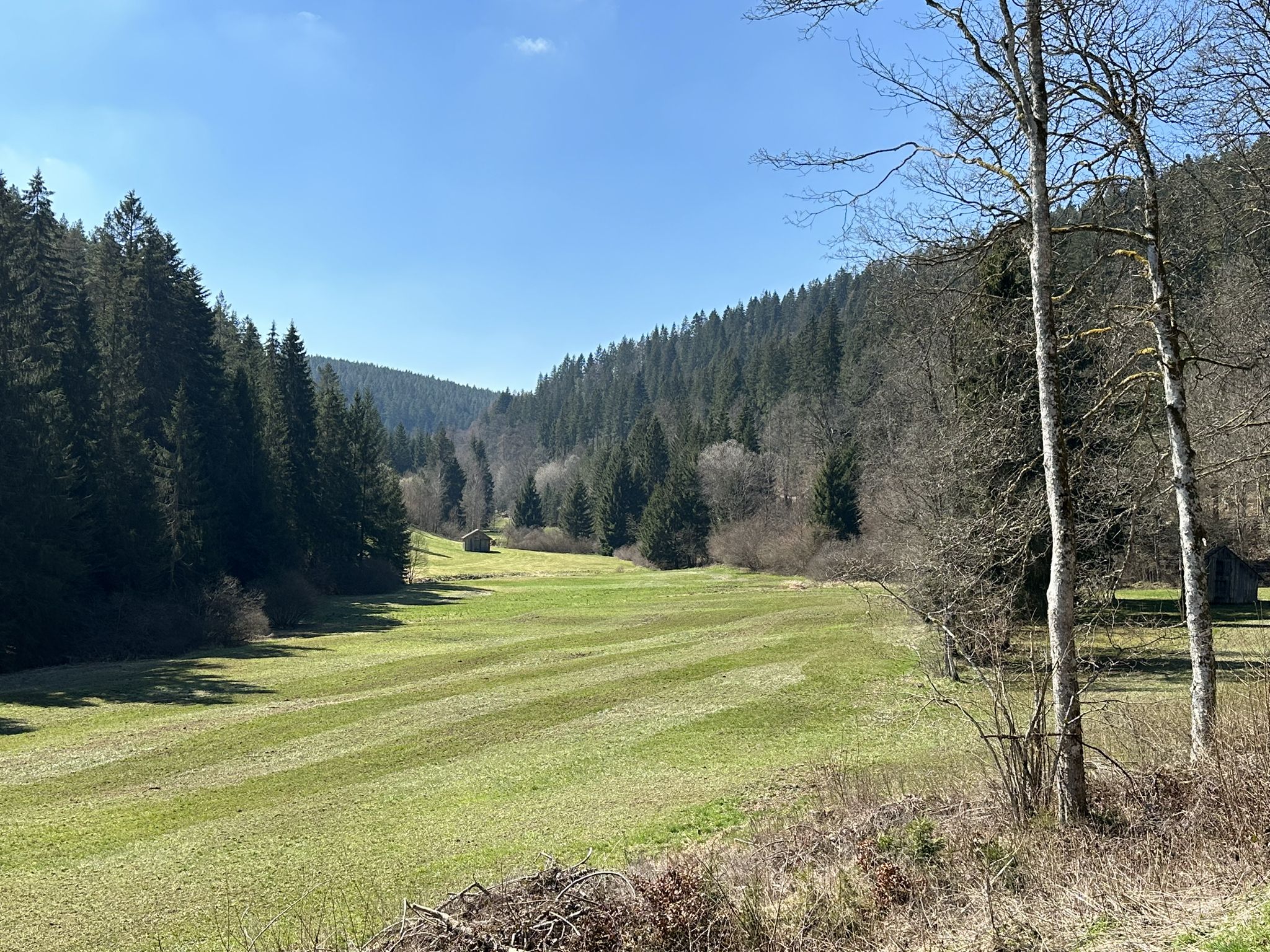 Blick ins Kleine-Enz-Tal