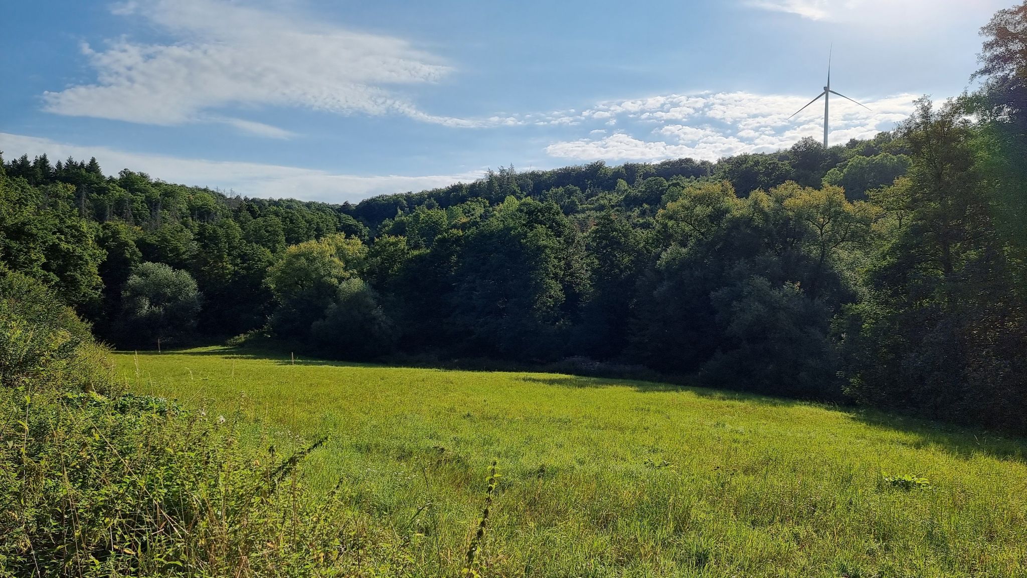 Wörsbachtal