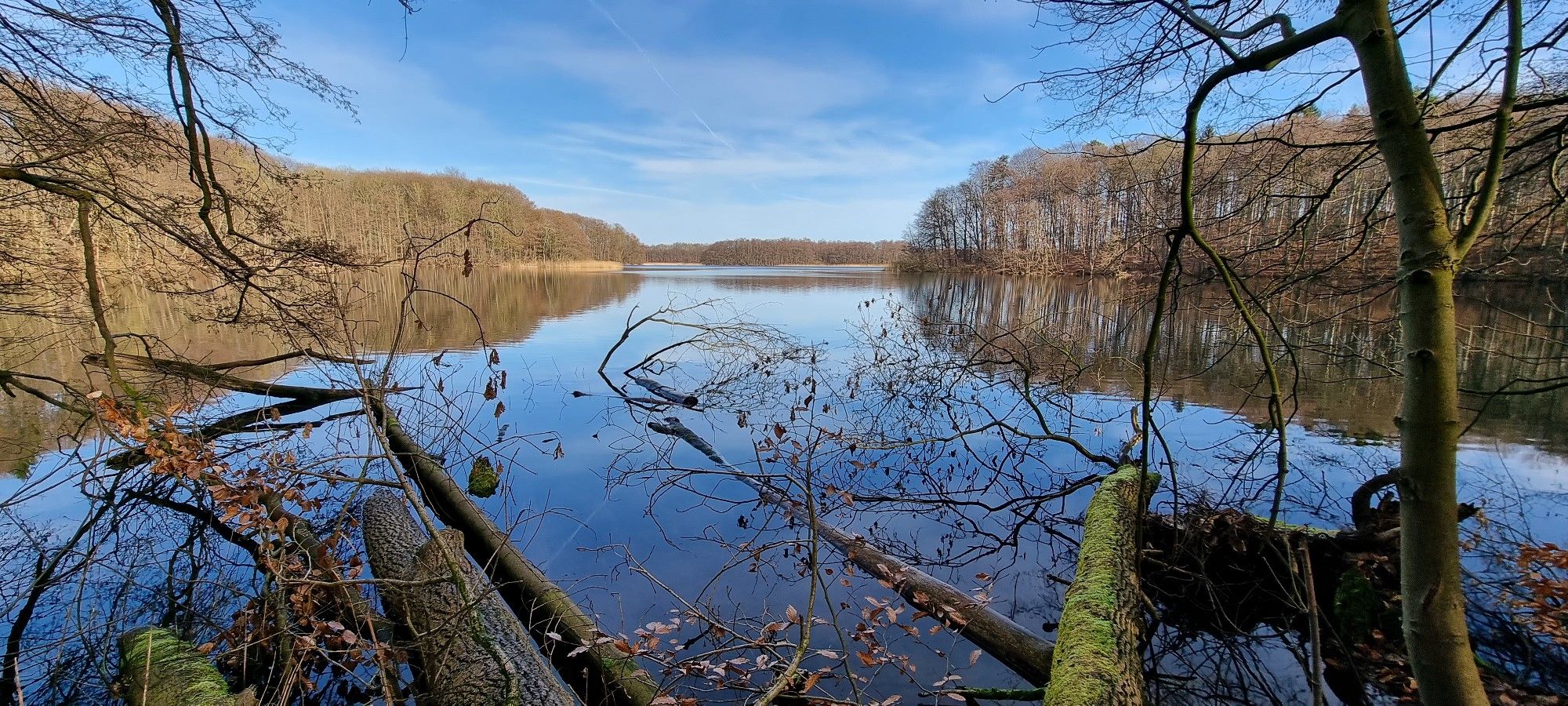 Still ruht der Lankower See