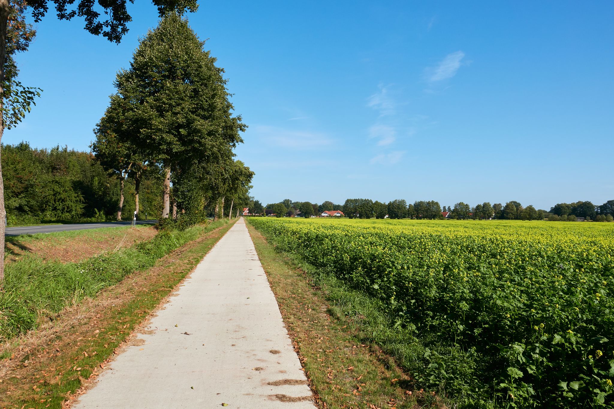 Vor Lüdersburg