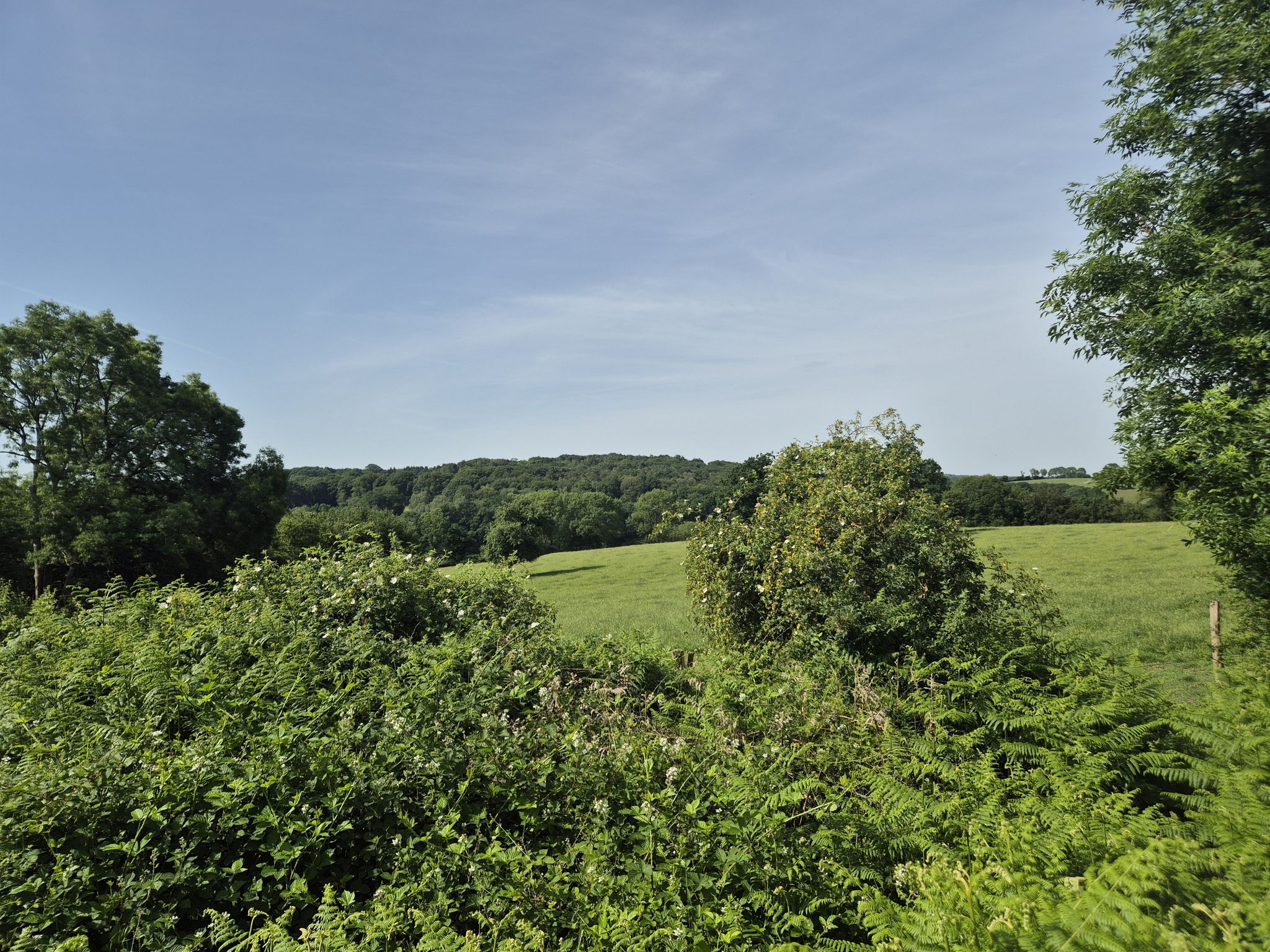 land