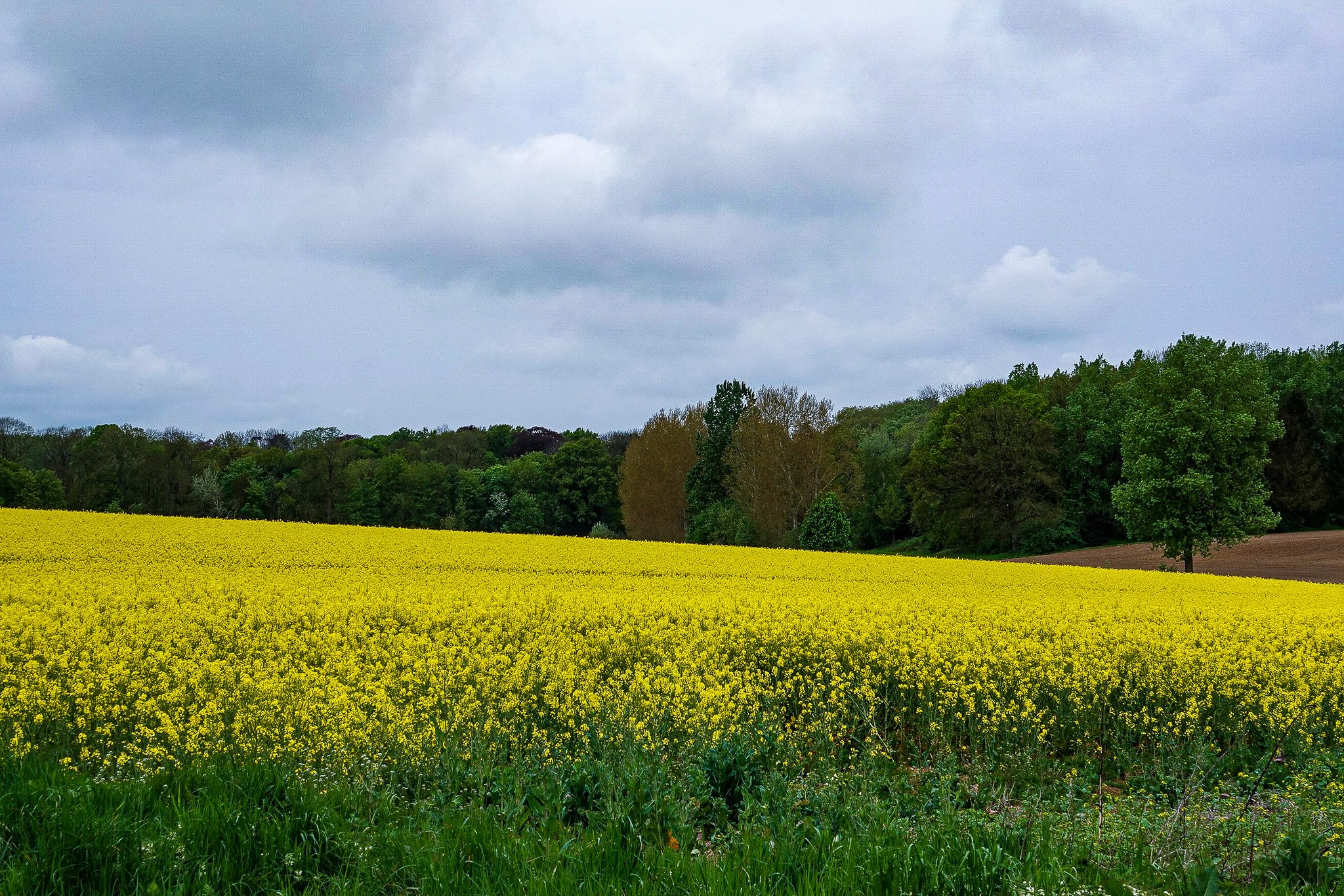 Saint-Georges-sur-Meuse