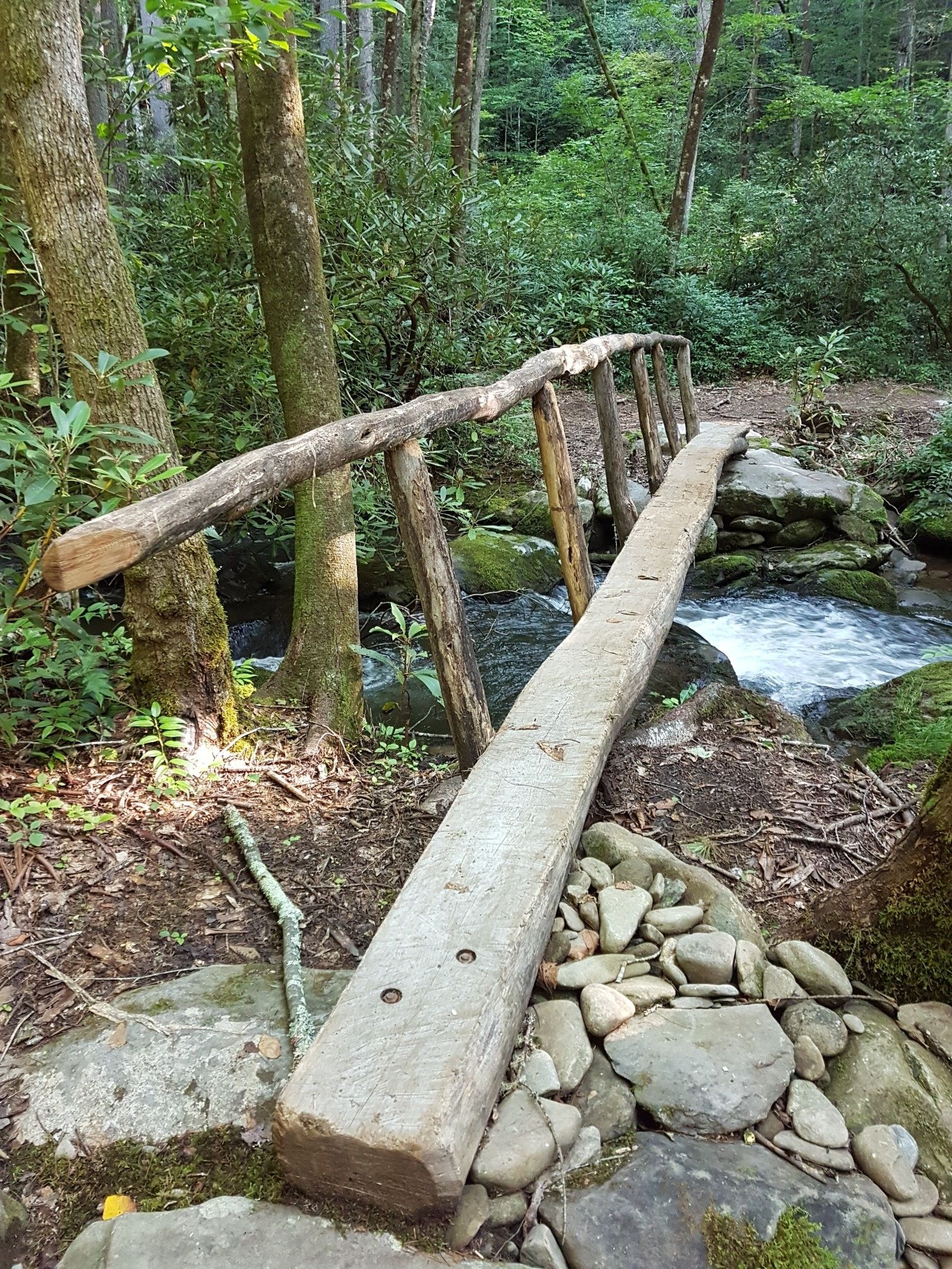 Rustic wooden footbridge with a log railing crosses a rocky stream in a green forest. - Wolf Ridge Trail to Twenty Mile