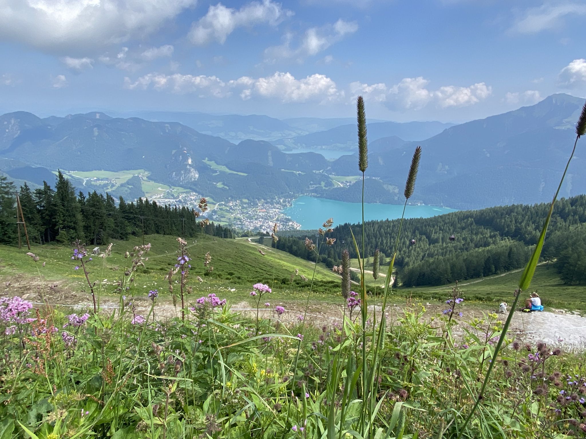 Blick auf den Wolfgangsee