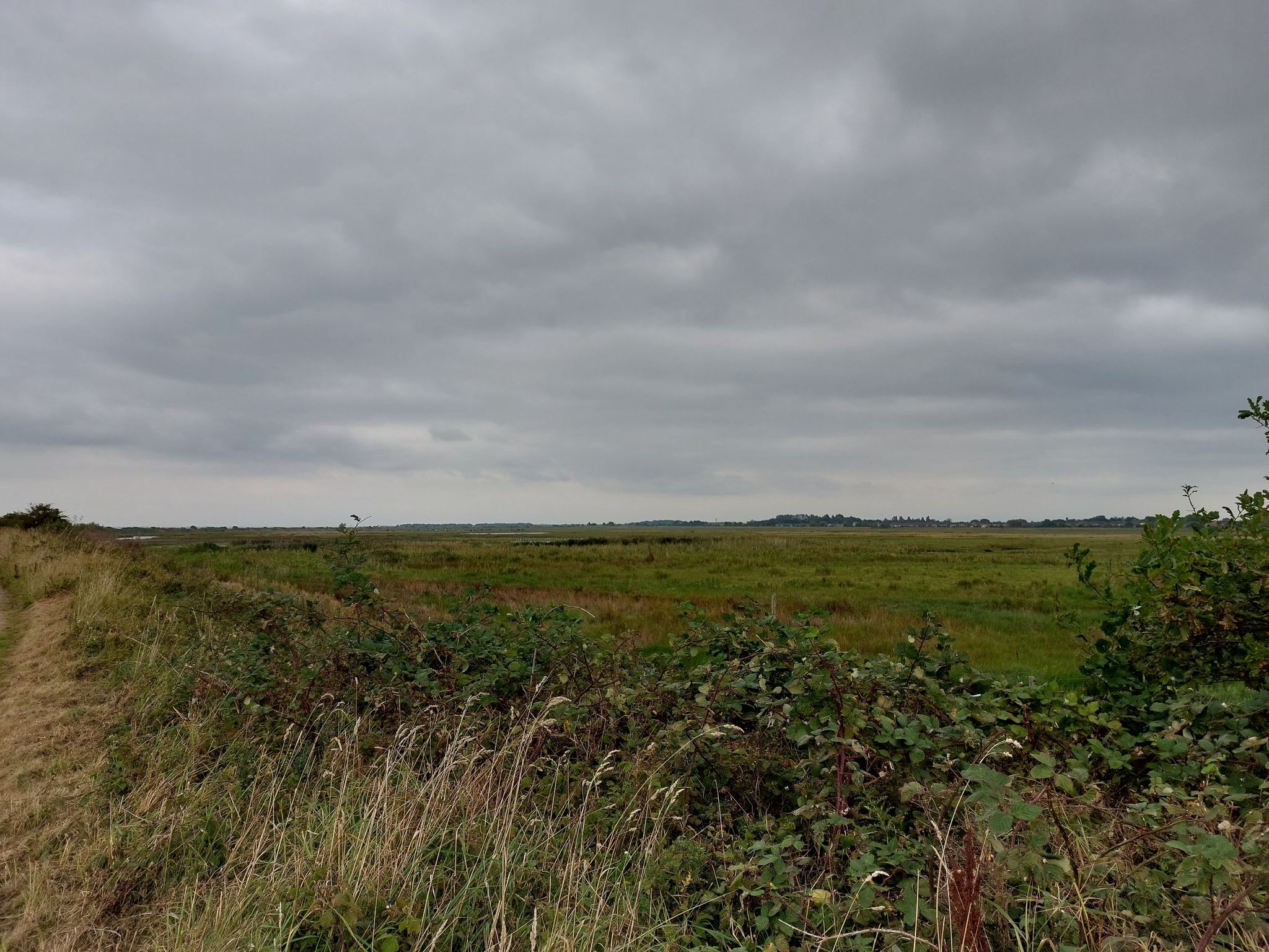 Crossen's Marsh