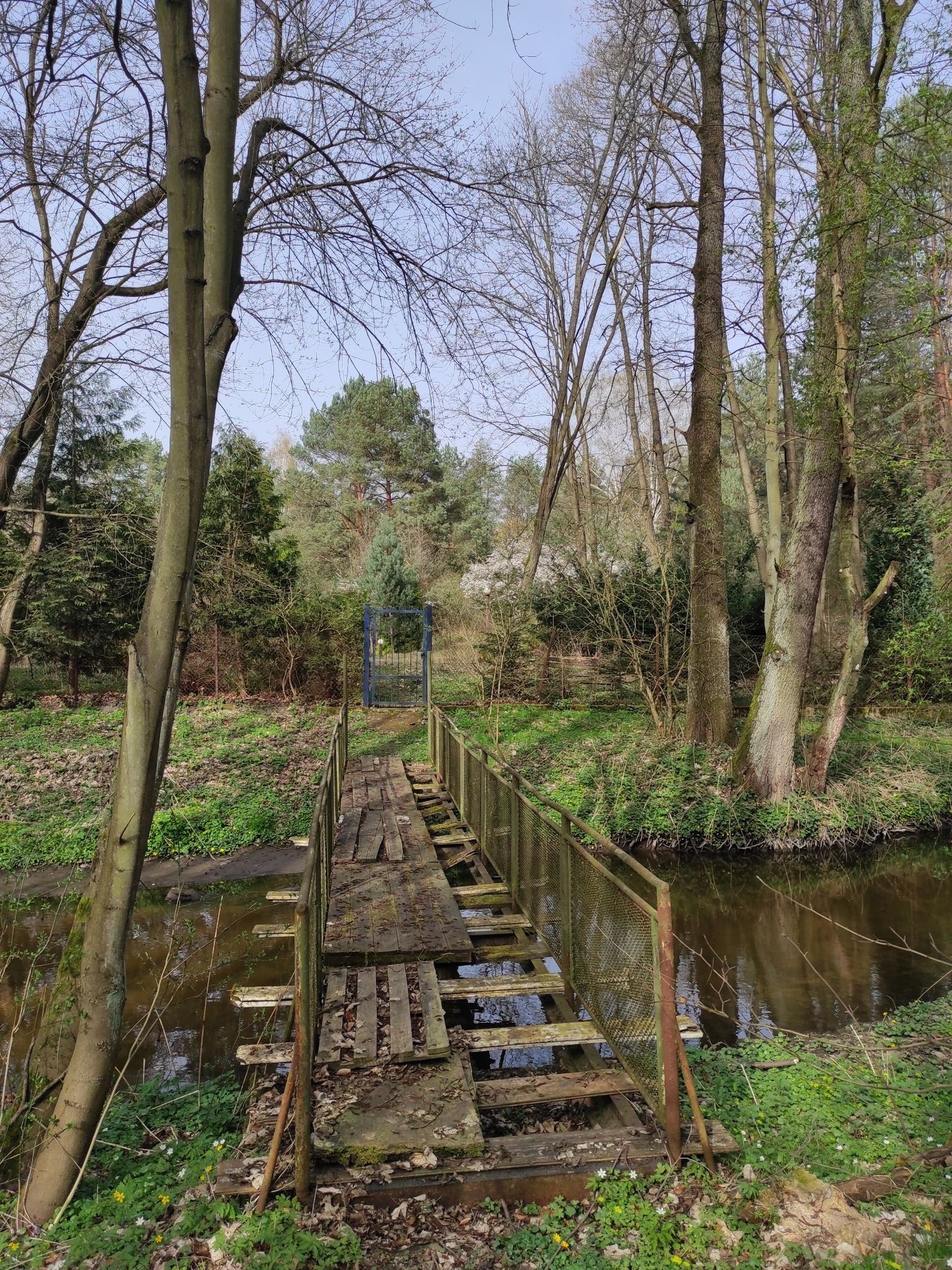 bridge