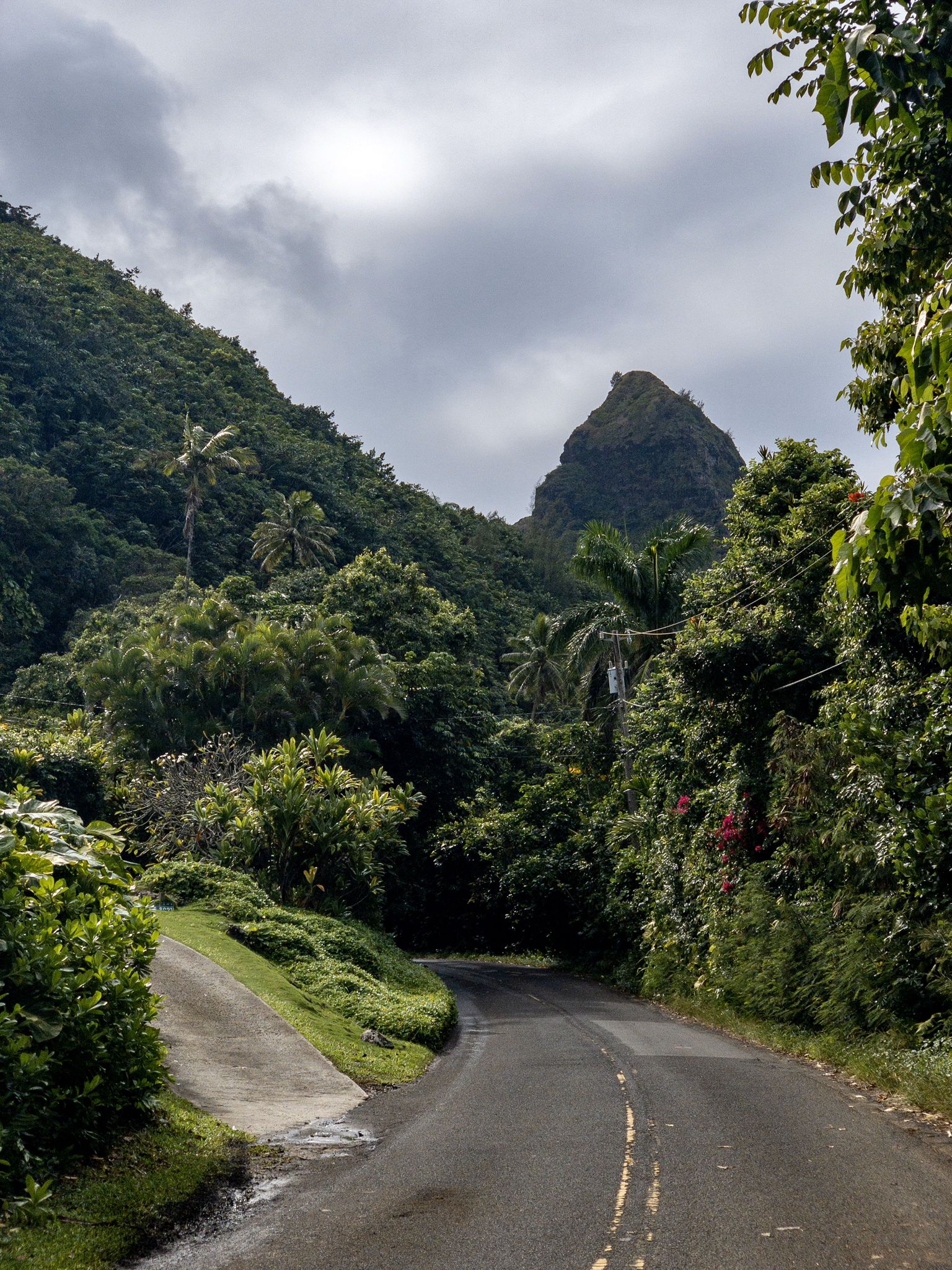 Winding road through lush green mountains under a cloudy sky. - Limahuli Stream – Limahuli Garden & Preserve loop from Haena