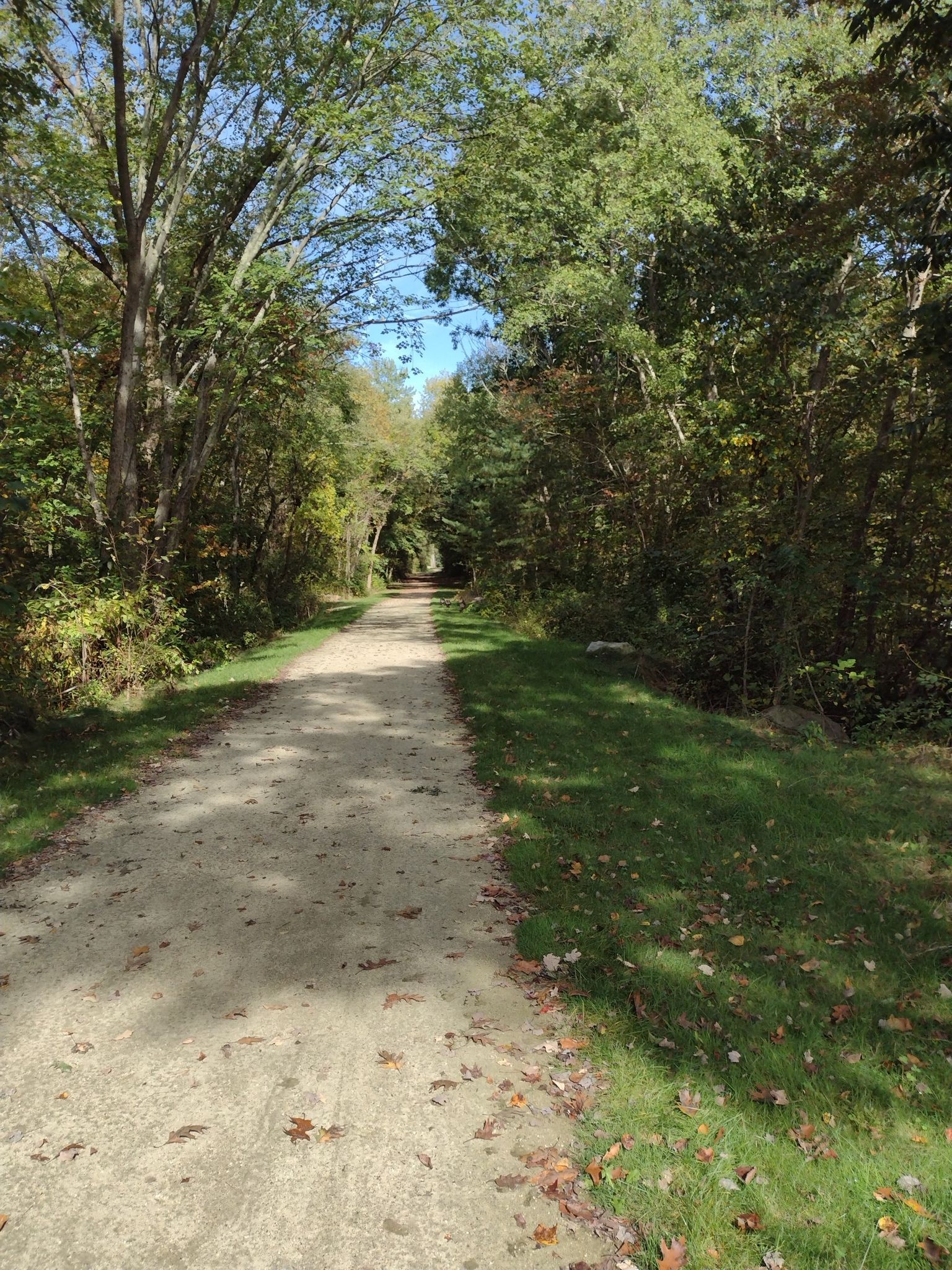 Sunny dirt path winding through a lush green forest. - Franklin State Forest loop from Peters River Park