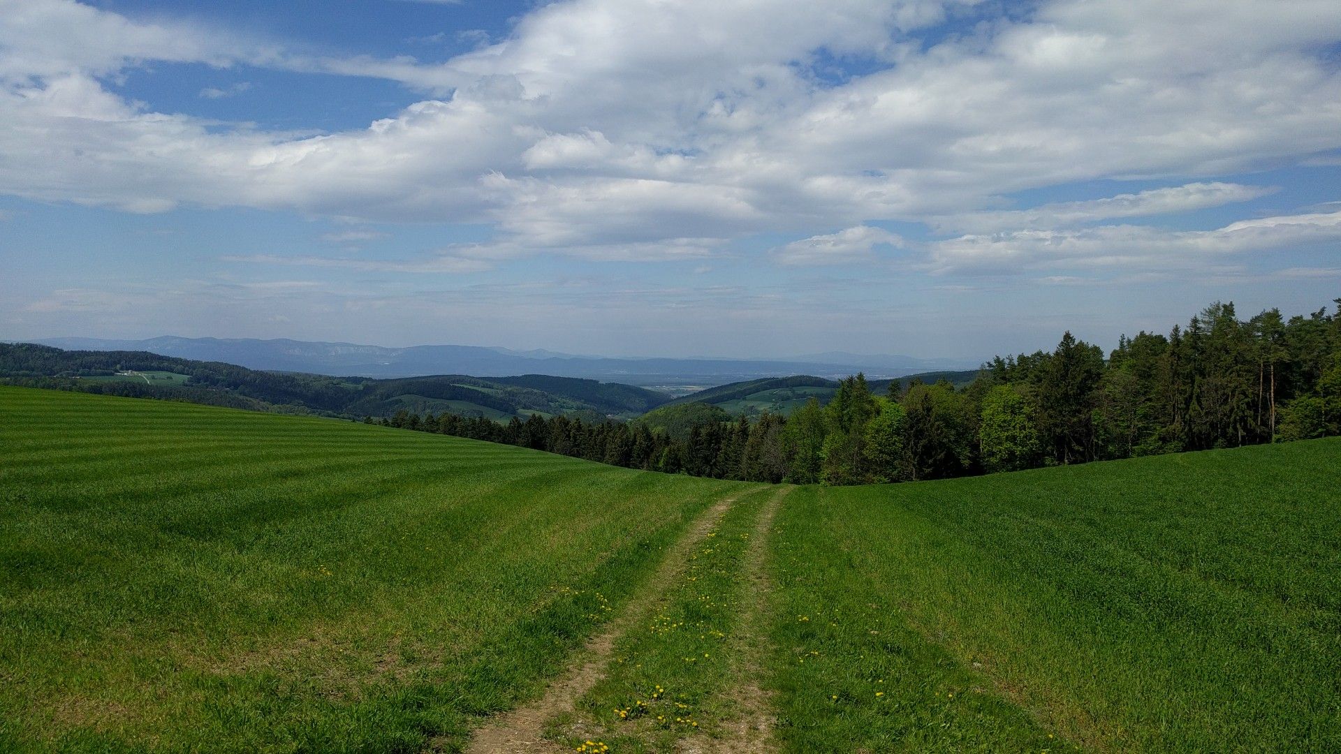 Hochwolkersdorf