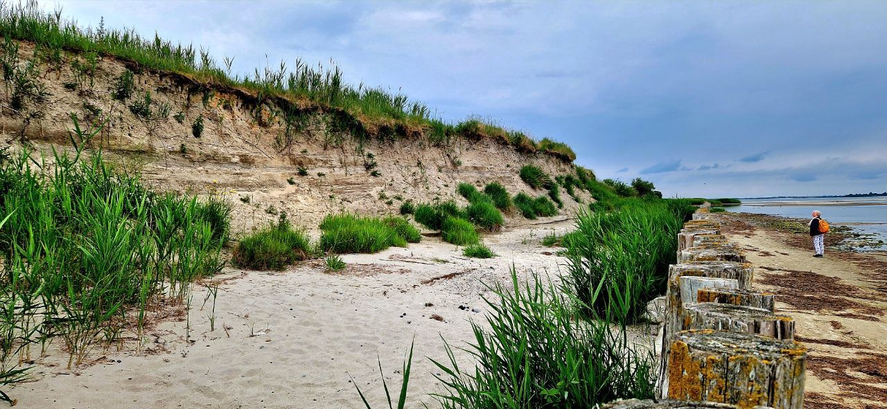 Höhlen von Küstenseeschwalben