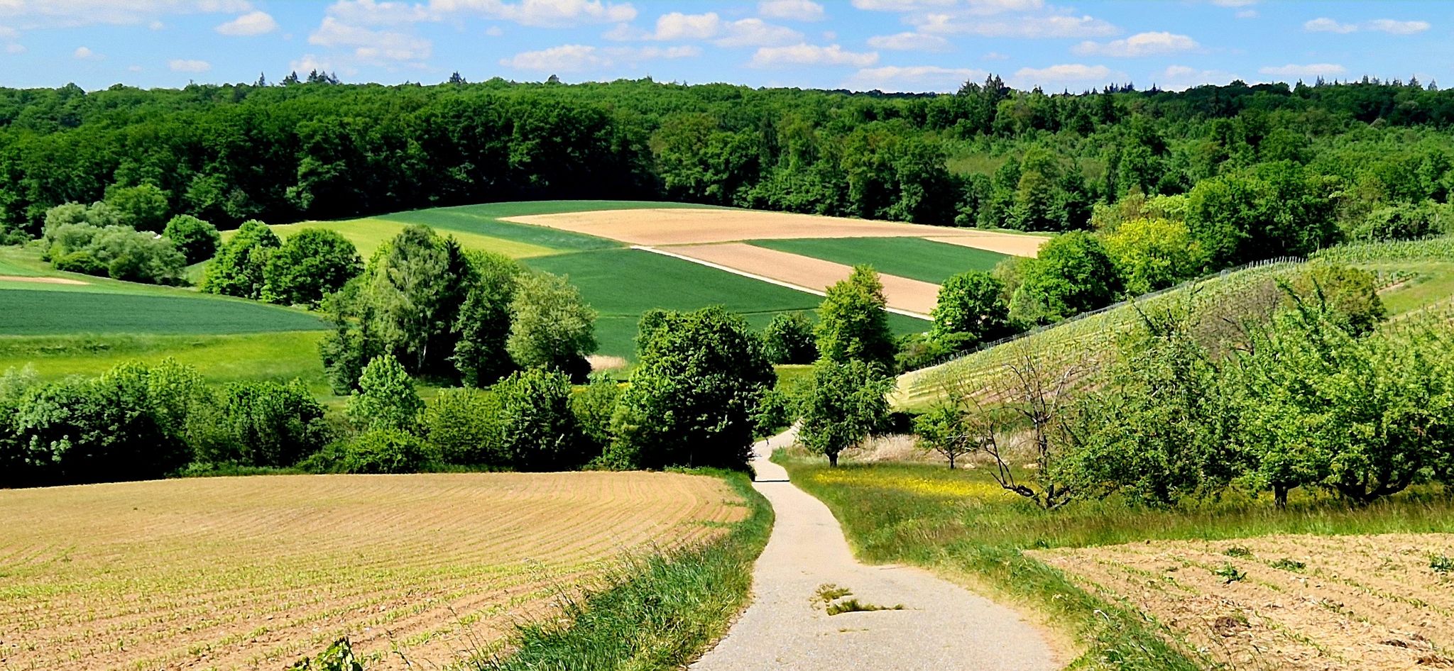 Abwärts nach Happenbach