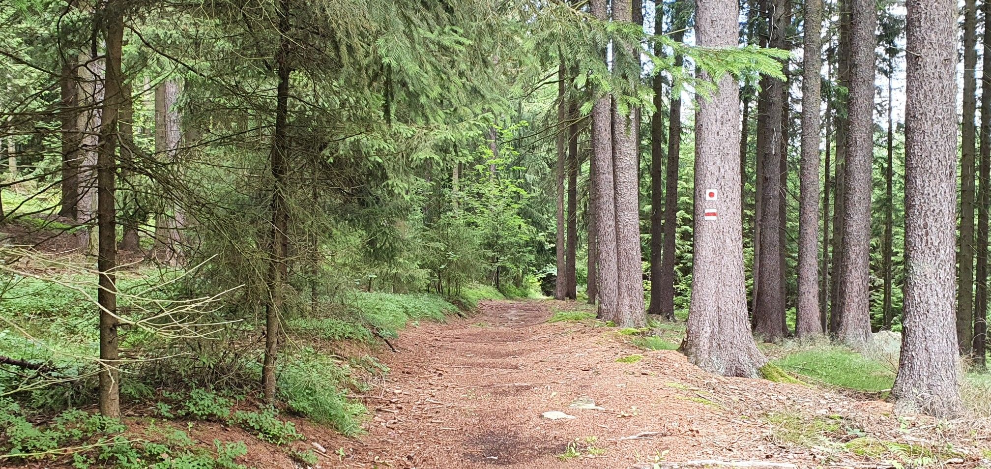 gut markiert und tolle Wege