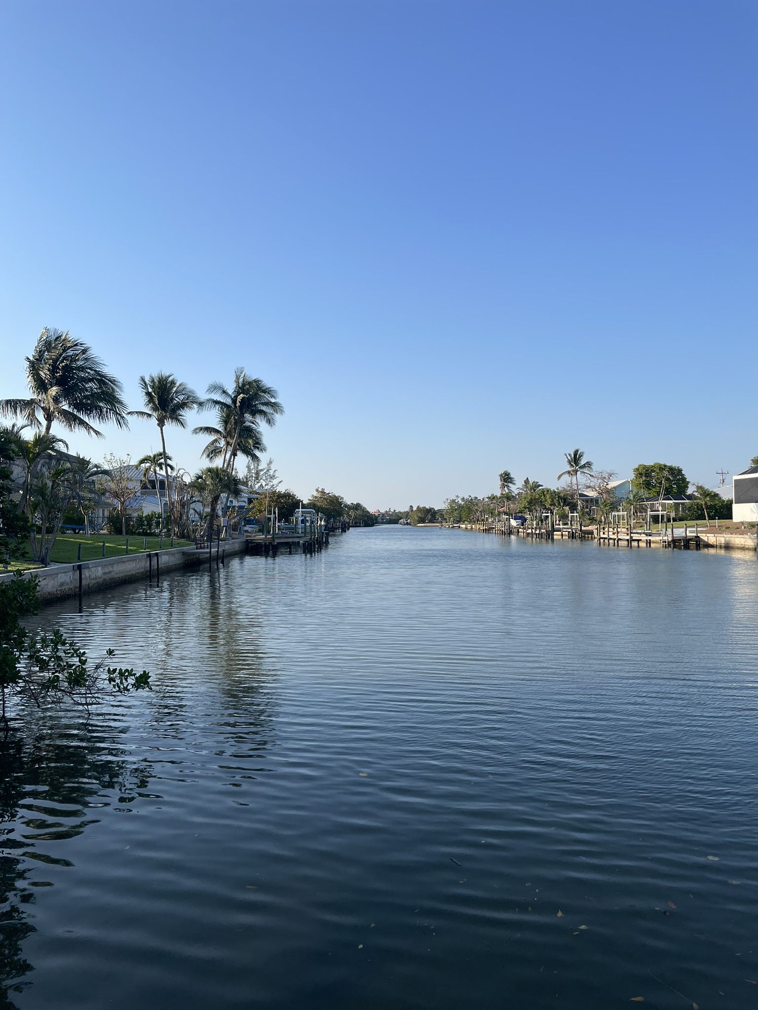 Calm canal with houses, palm trees, and a clear blue sky. - Sanibel Lighthouse & Gulfside City Park loop