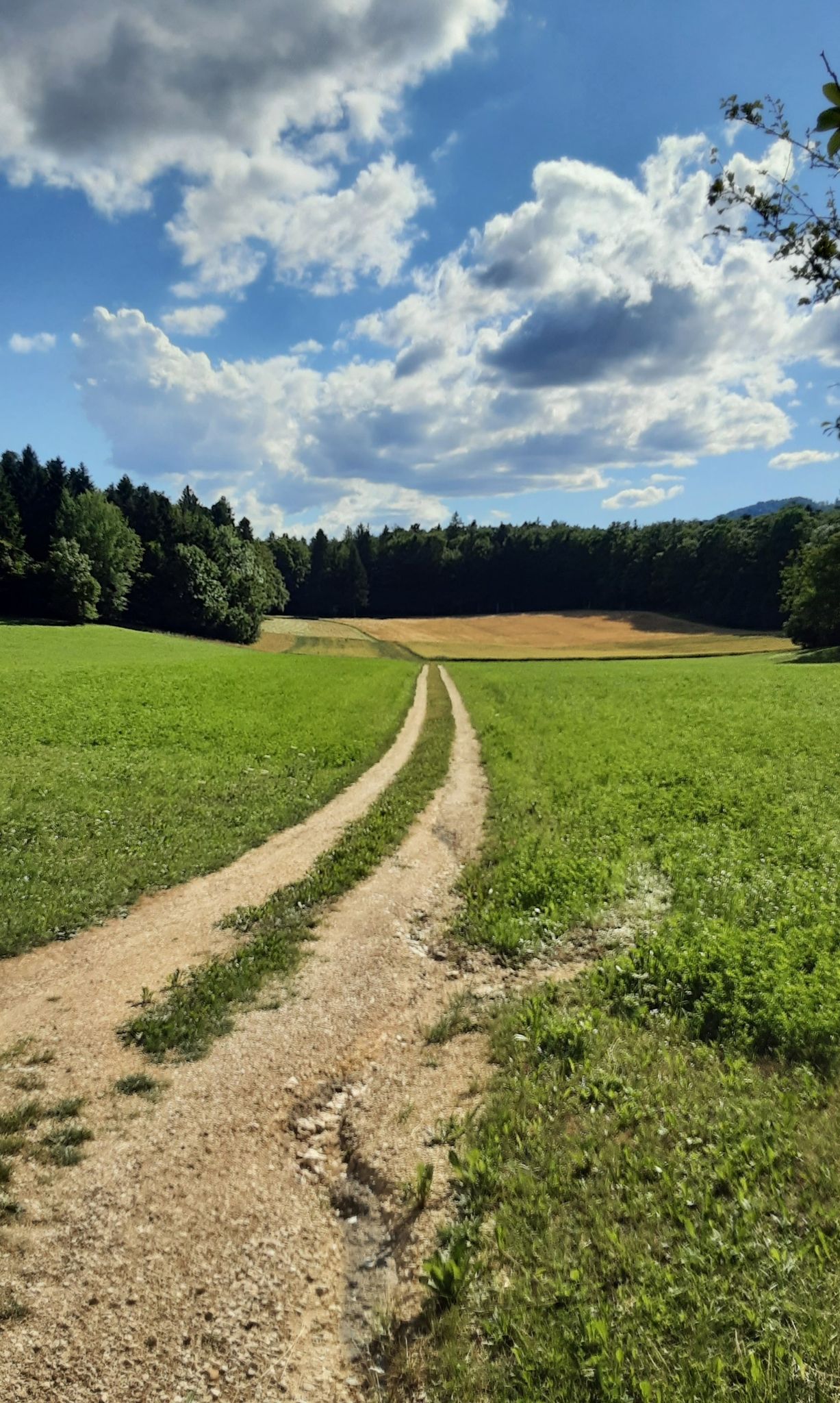 weg