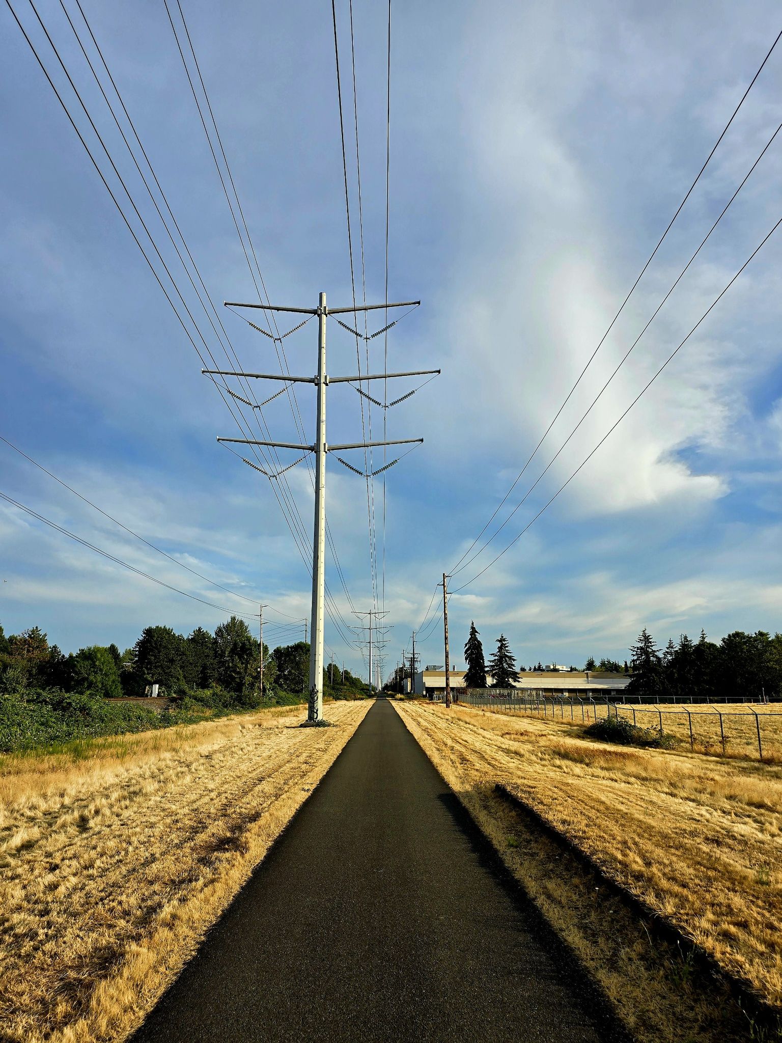 A paved path stretches through golden fields under tall power lines. - Kent Valley Loop Trails: Eagle Loop