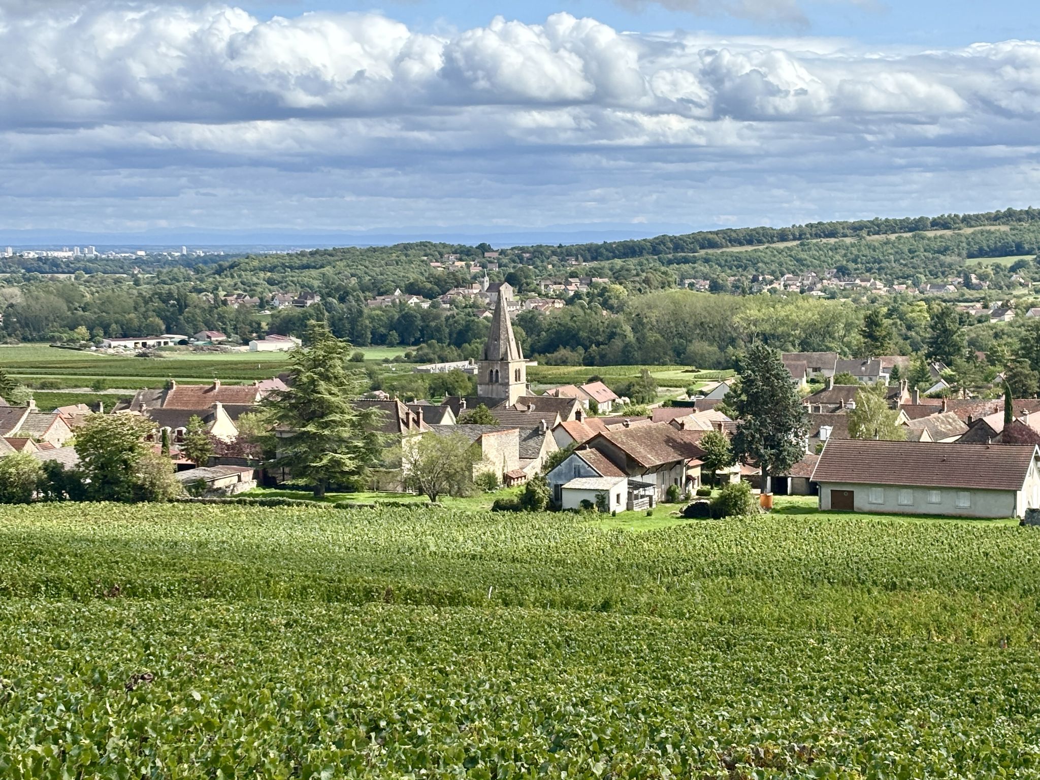 Saint-Martin-sous-Montaigu