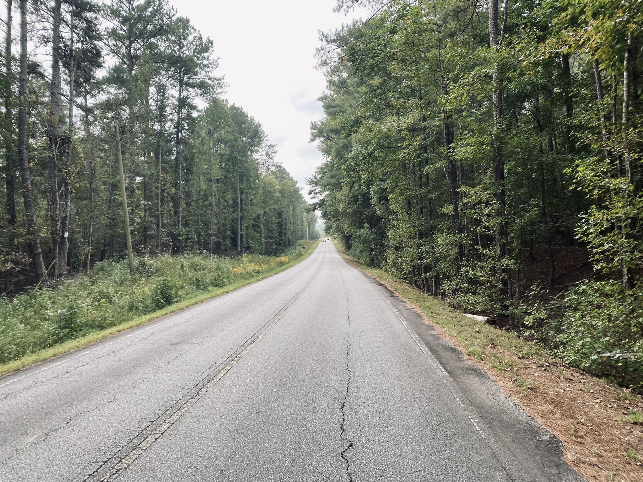 Long paved road stretching through a dense, green forest under an overcast sky. - Cochran Mill Park – Upper Wooten Gravel Trail loop from S.E. Fairburn