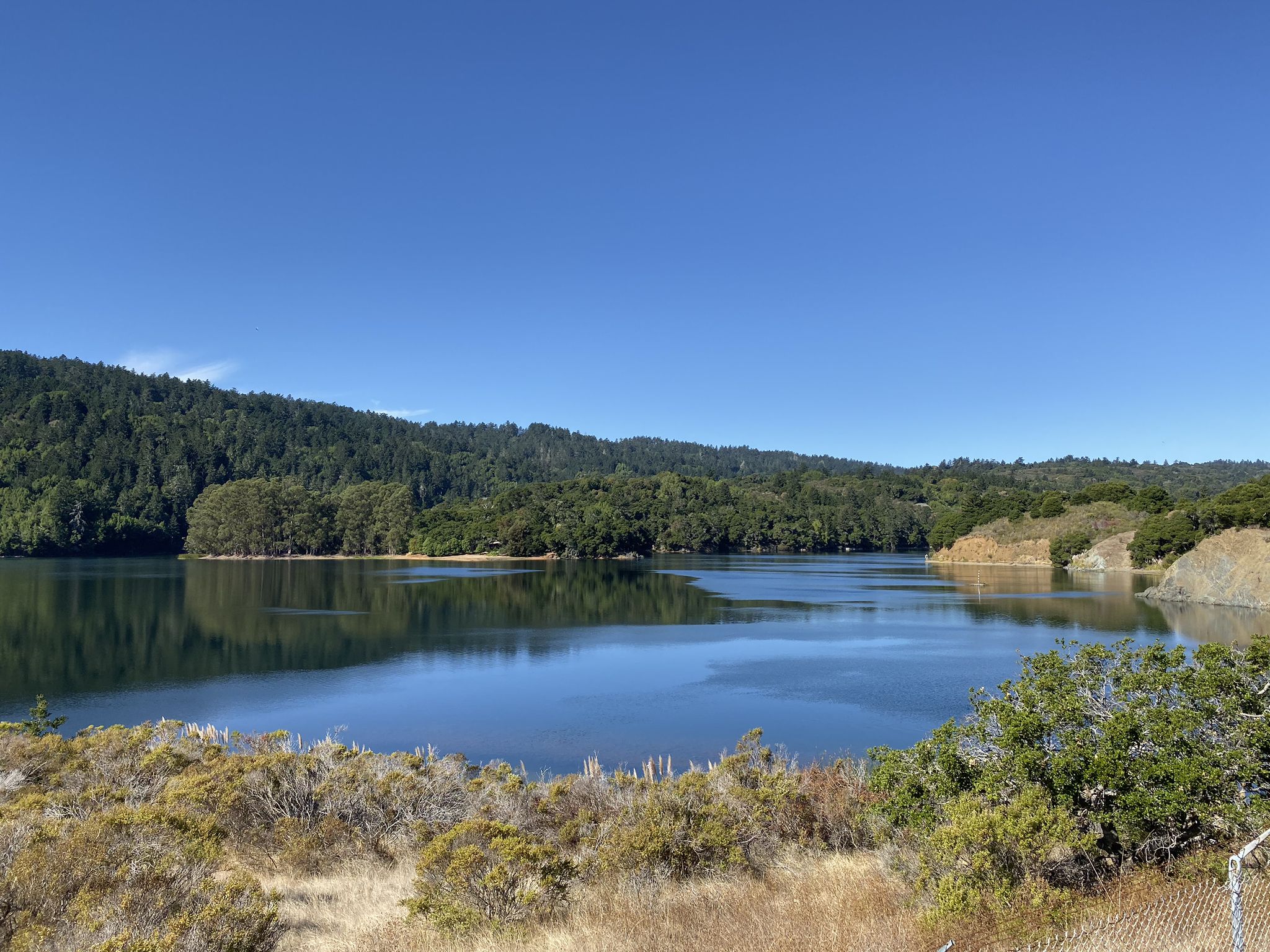 Serene blue lake surrounded by lush green forested hills under a clear sky. - Sawyer Camp Recreation Trail – Jepson Laurel loop from Highlands-Baywood Park