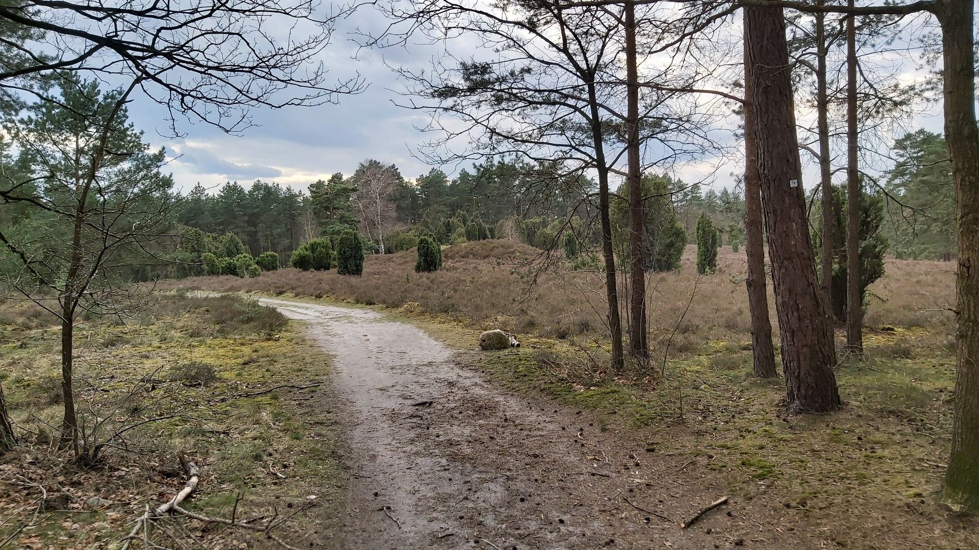 Eibia, Hügelgräberfeld