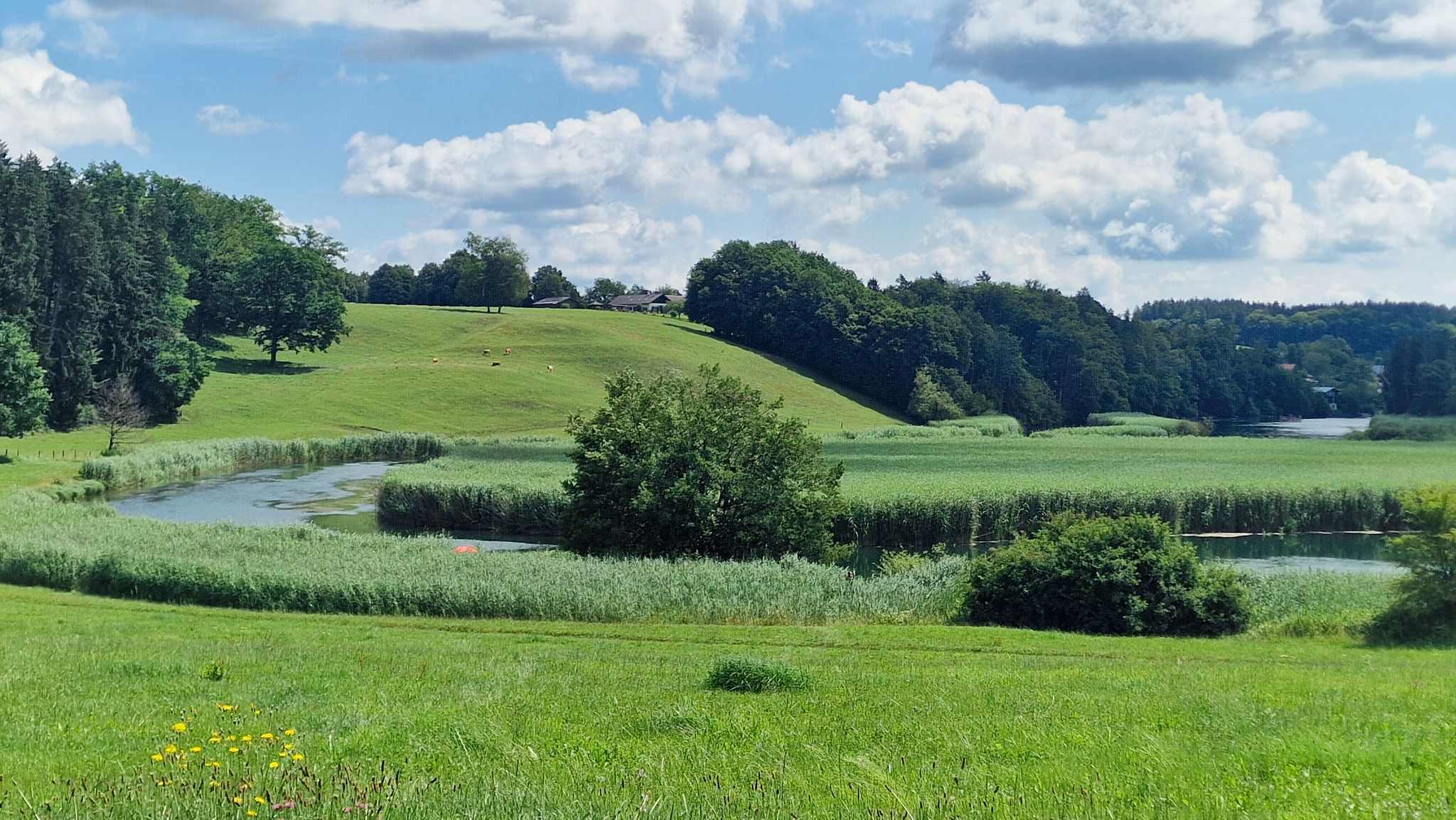 Im malerischen Alztal