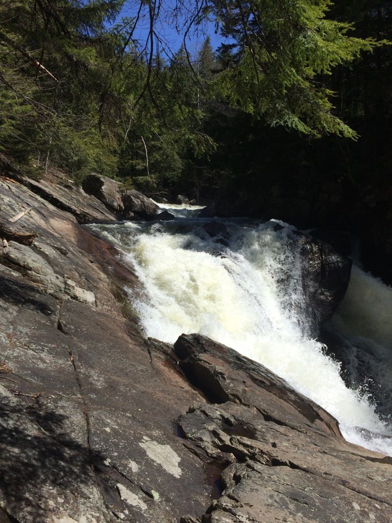Bright waterfall cascades over dark rocks in a sunlit forest. - Pine Orchard and Auger Falls Loop