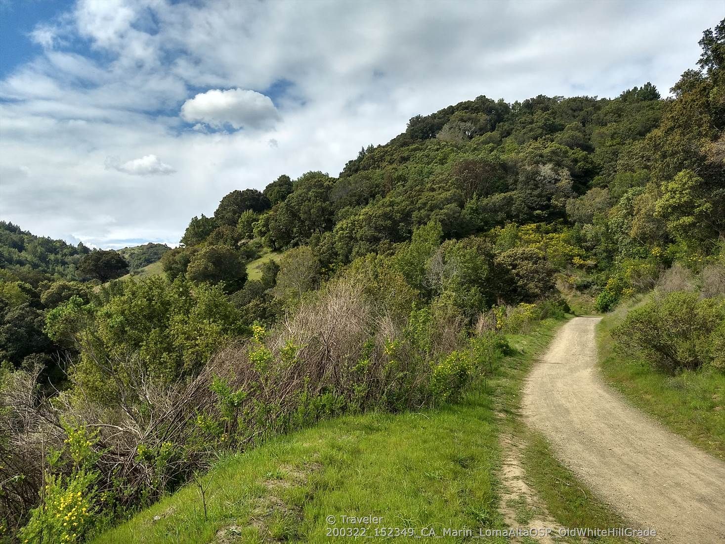 Dirt path winding up a green, tree-covered hillside under a cloudy sky. - Oak Manor, Smith Ridge, Sunrise and Old Railroad Grade Loop