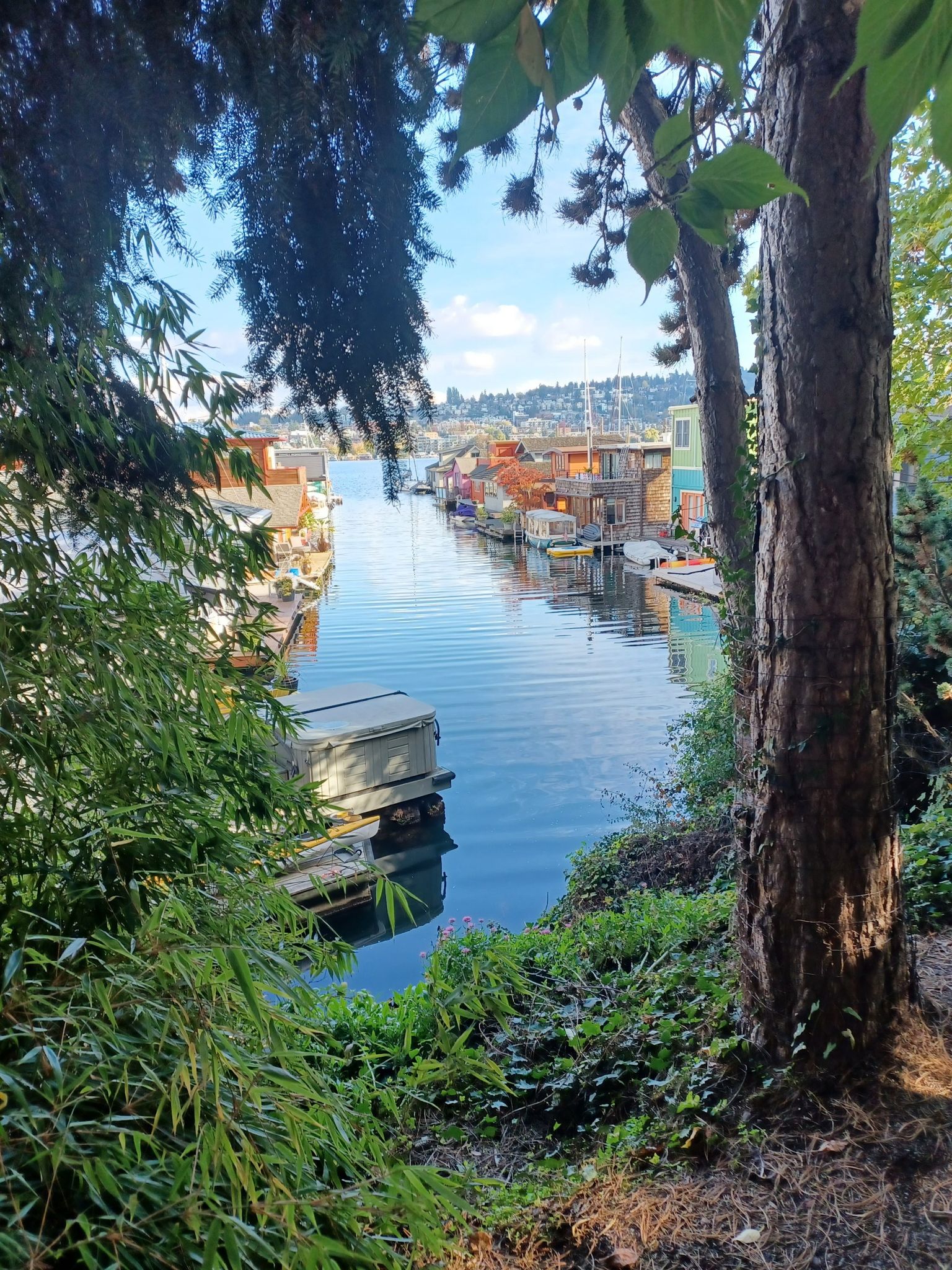 Houseboats on a calm waterway, framed by lush green trees. - Fremont Bridge – Gas Works Park loop from Climate Pledge Arena