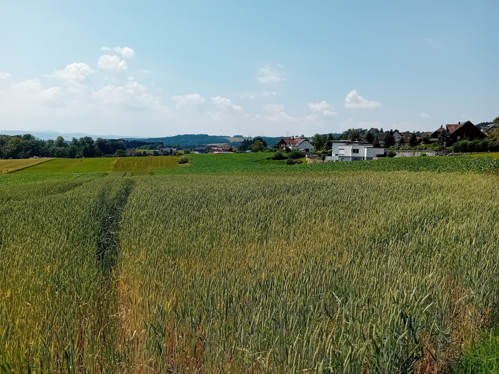 Blick auf St. Martin im Ybbsfeld