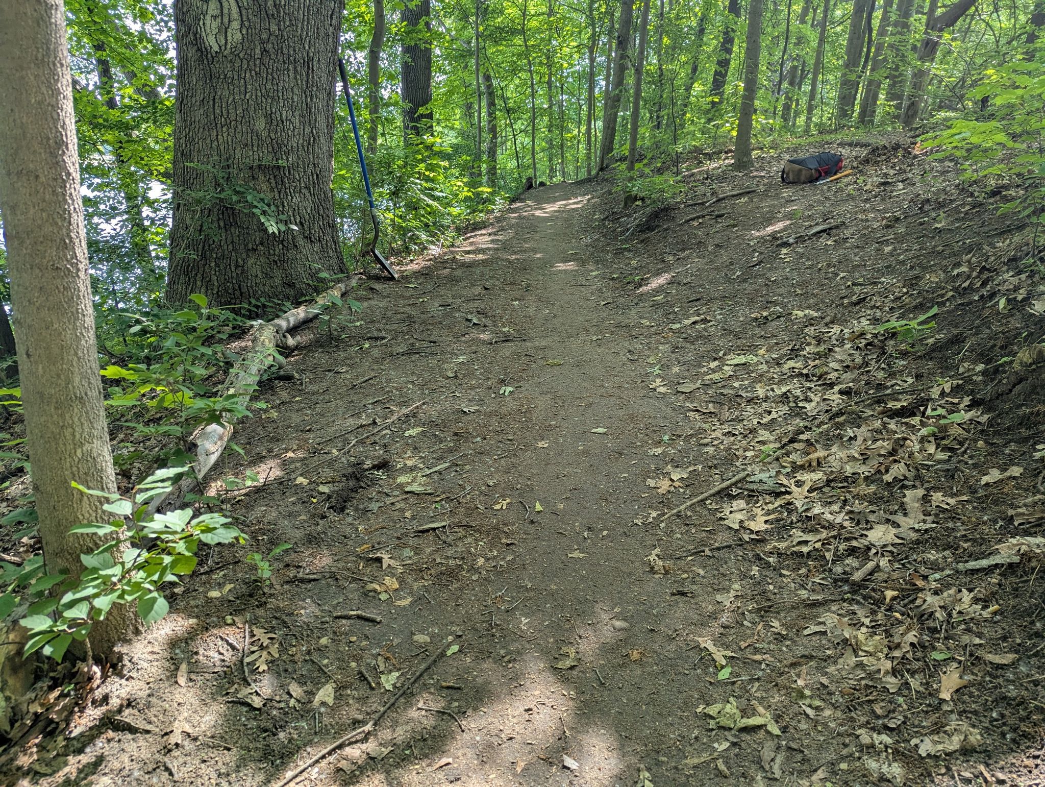 A sun-dappled dirt path winds through a dense green forest. - Newburgh Lakeview Trail
