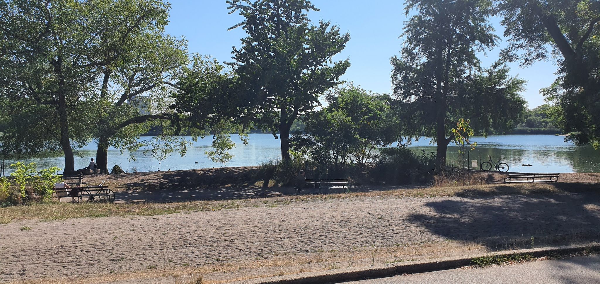 People relaxing by a lake with trees and benches on a sunny day. - Prospect Park West Drive – Prospect Park Lake loop from Bay Ridge Avenue