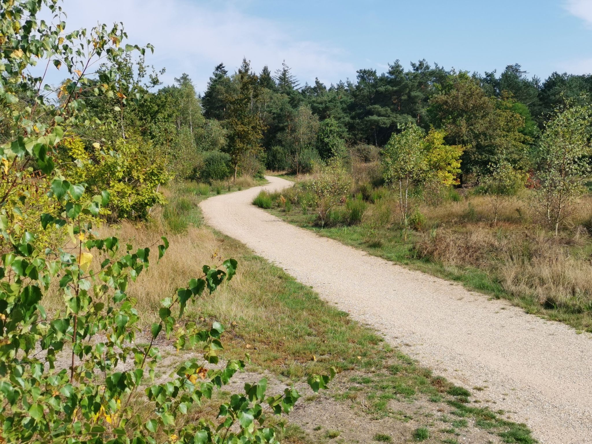 Reekse Heide