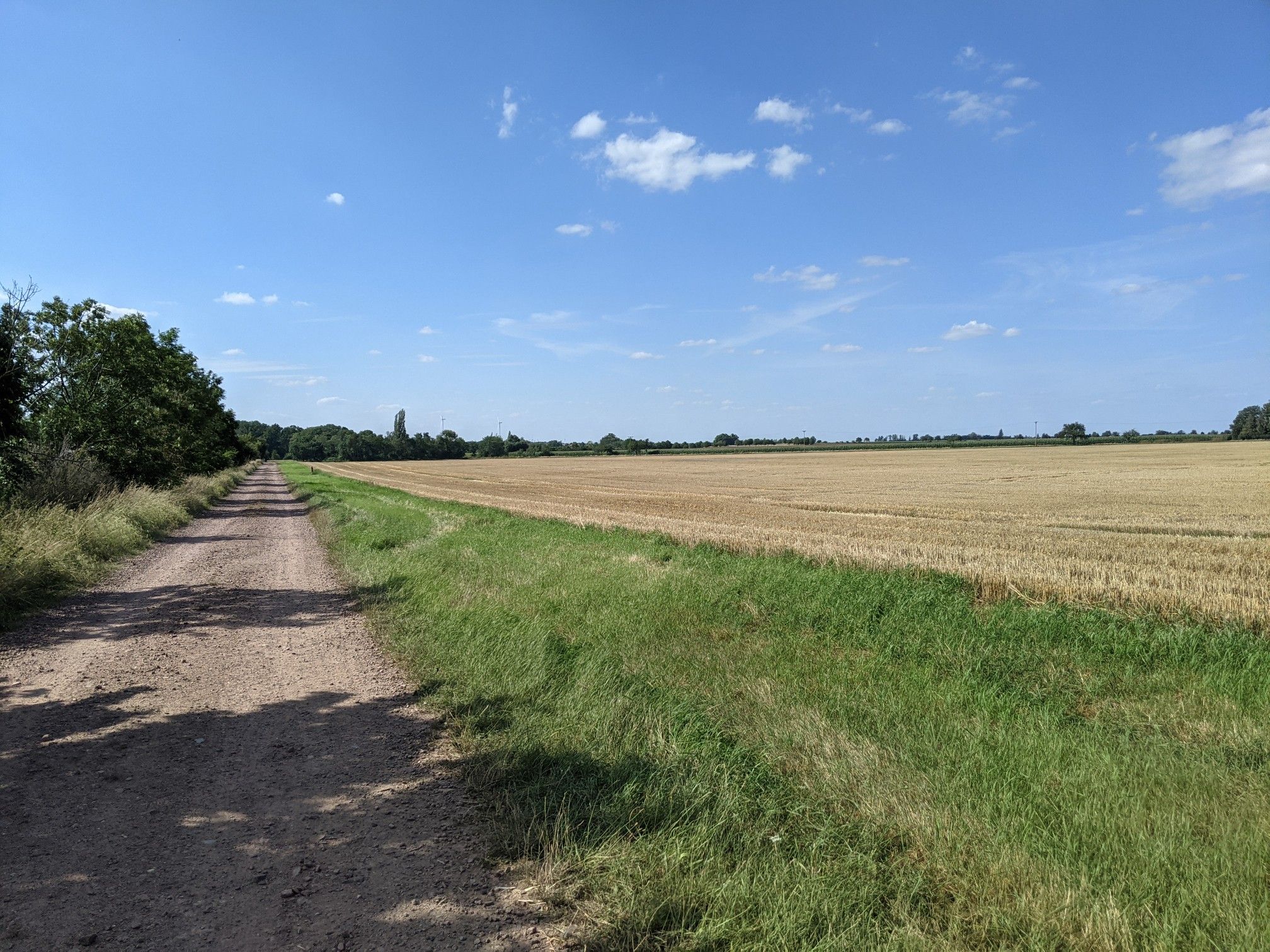 Richtung Thurau