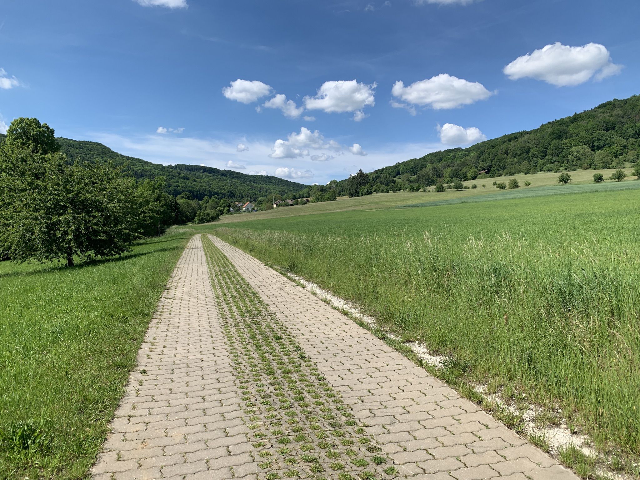 Auf der Pilgerstrecke