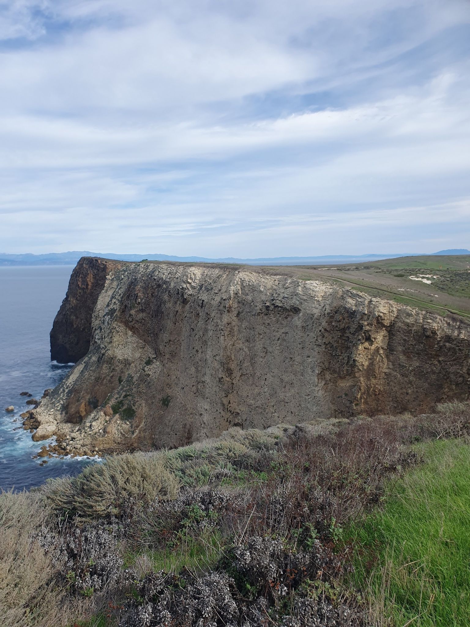 Rugged sea cliff overlooking calm ocean under an overcast sky. - North Bluff Trail